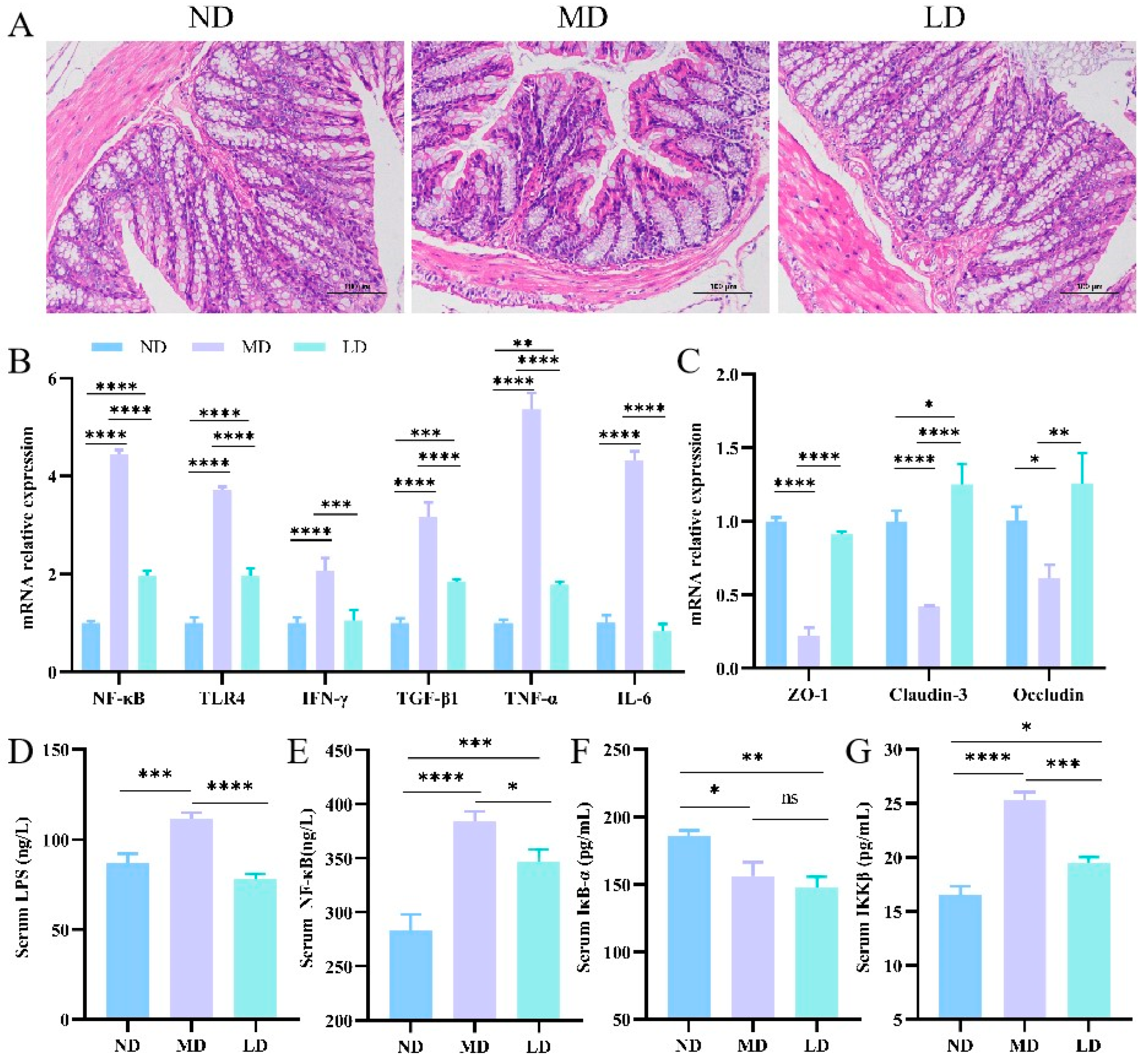 Nutrients 16 00958 g005 Nutrients 16 00958 g005