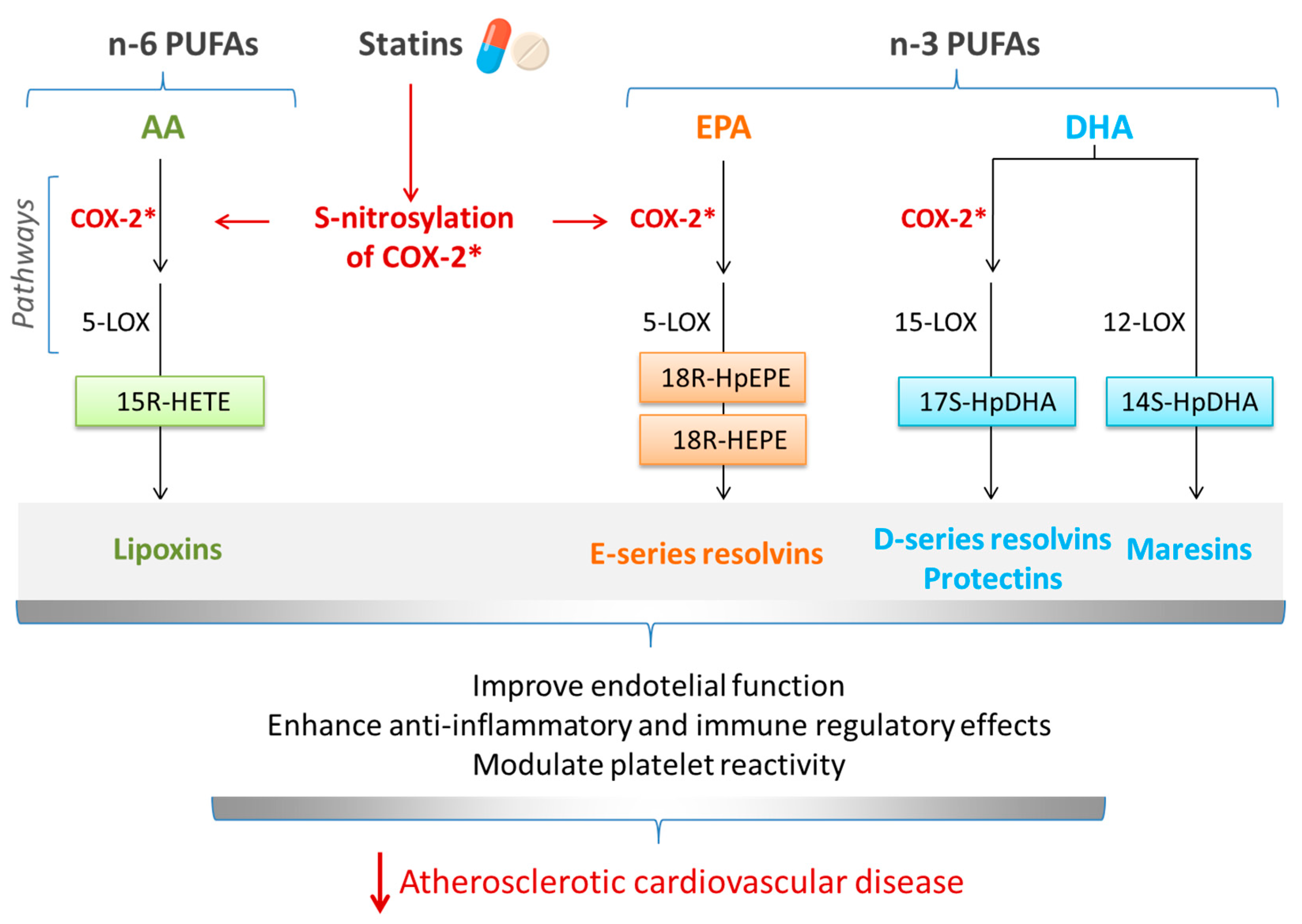Nutrients 16 00962 g002