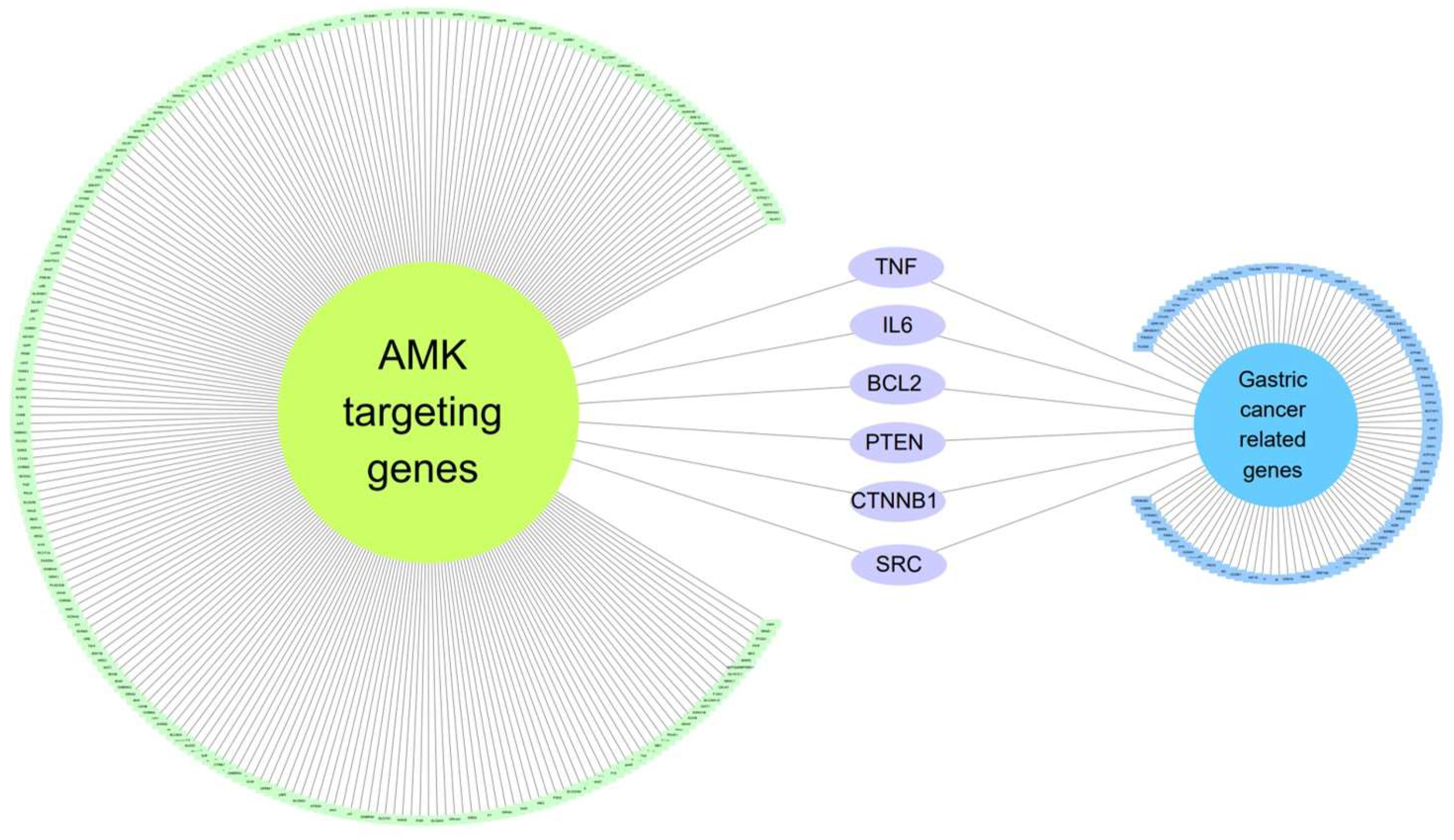 Nutrients 16 00965 g002