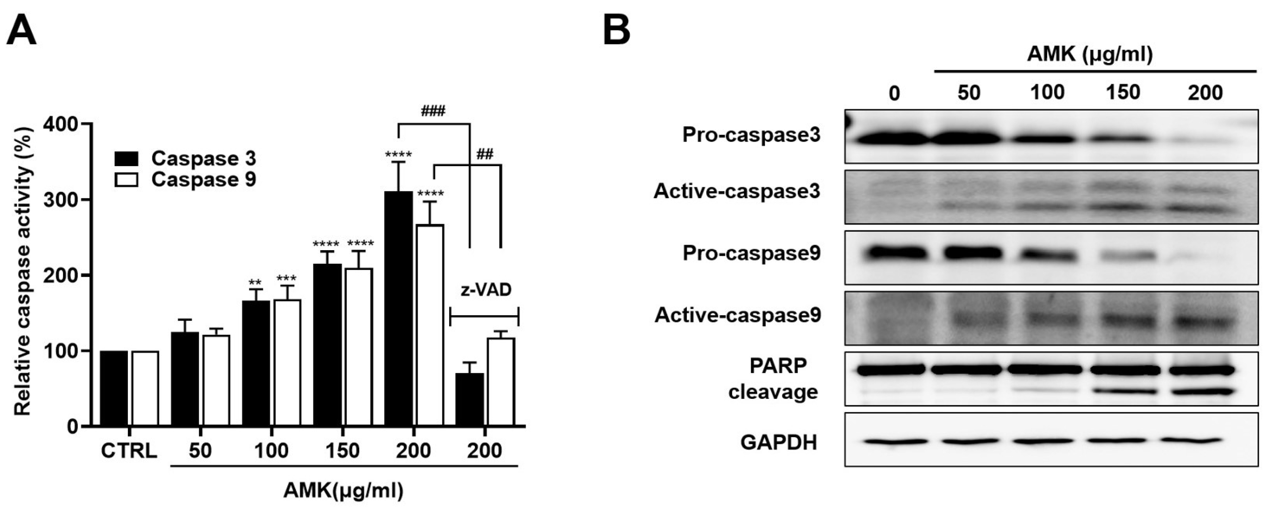 Nutrients 16 00965 g007