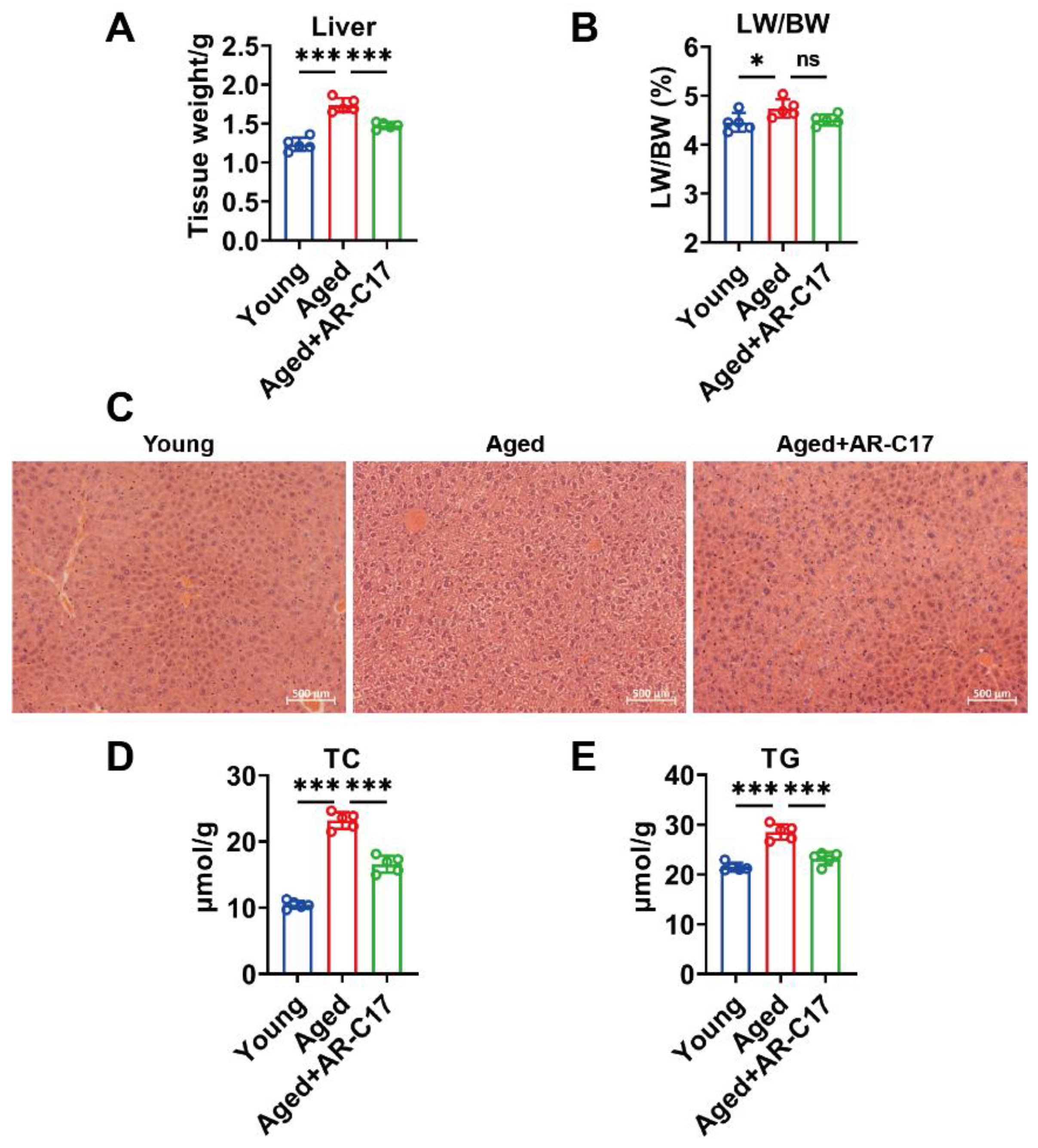 Nutrients 16 00978 g002