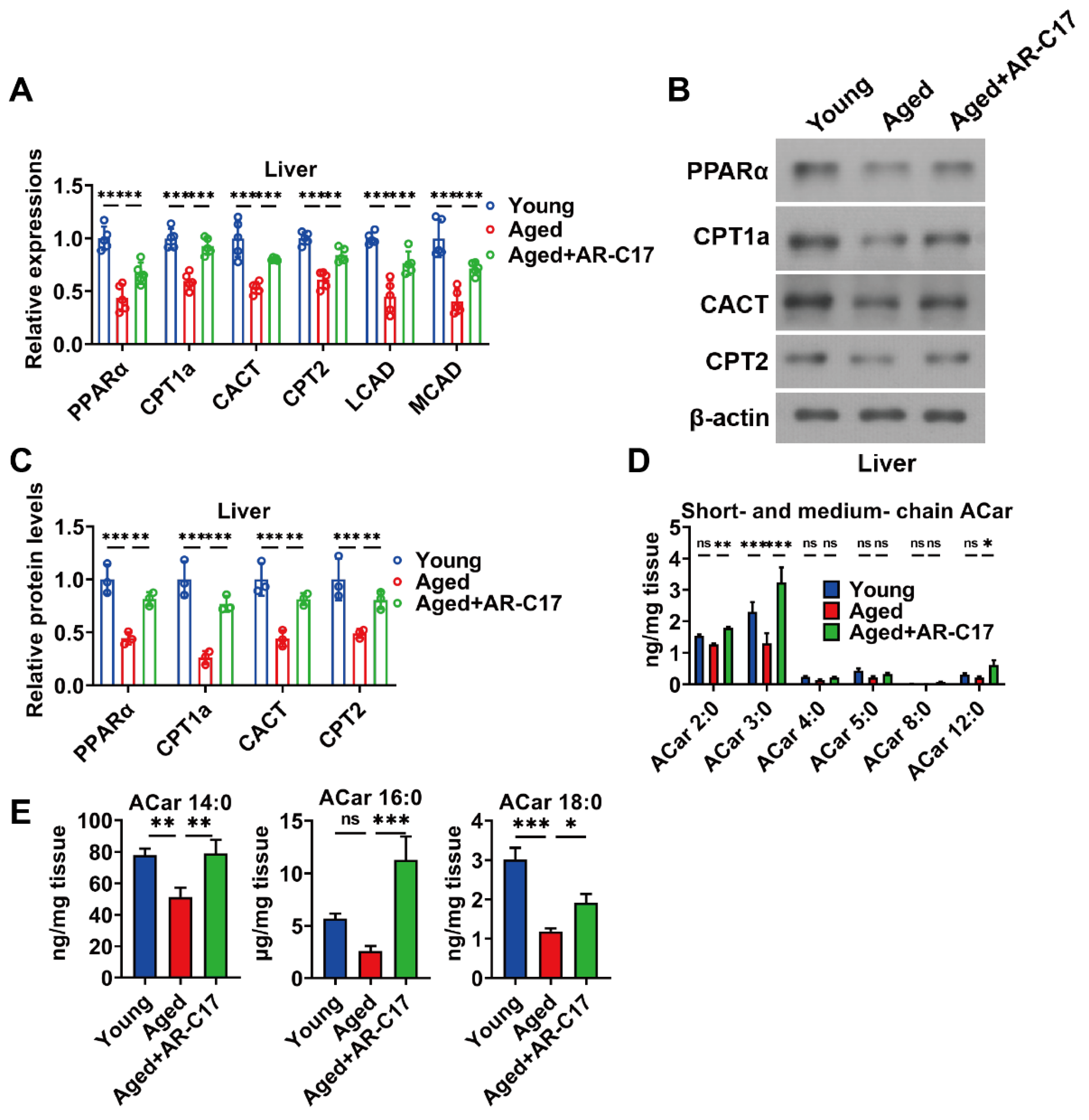 Nutrients 16 00978 g003