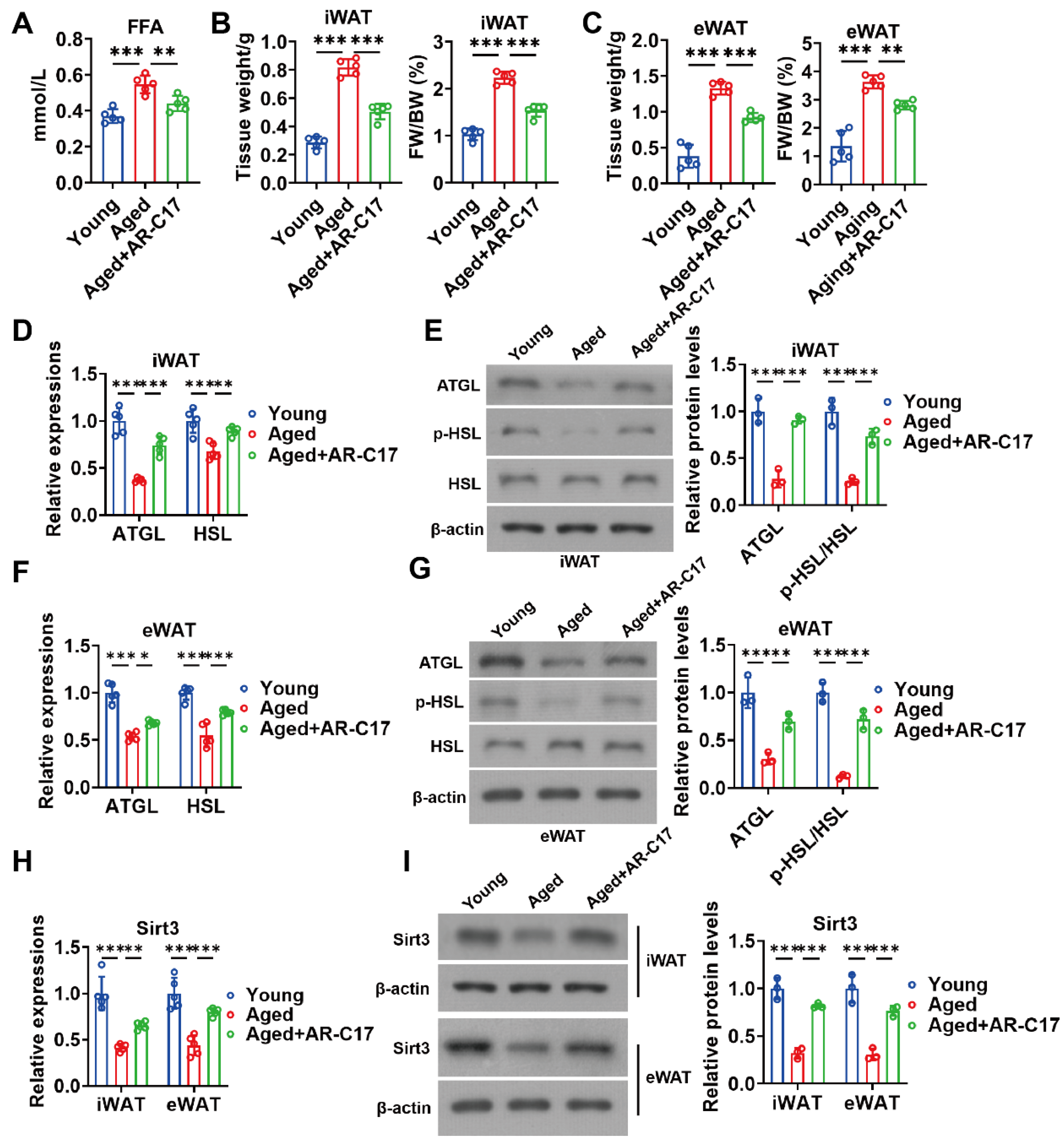 Nutrients 16 00978 g004