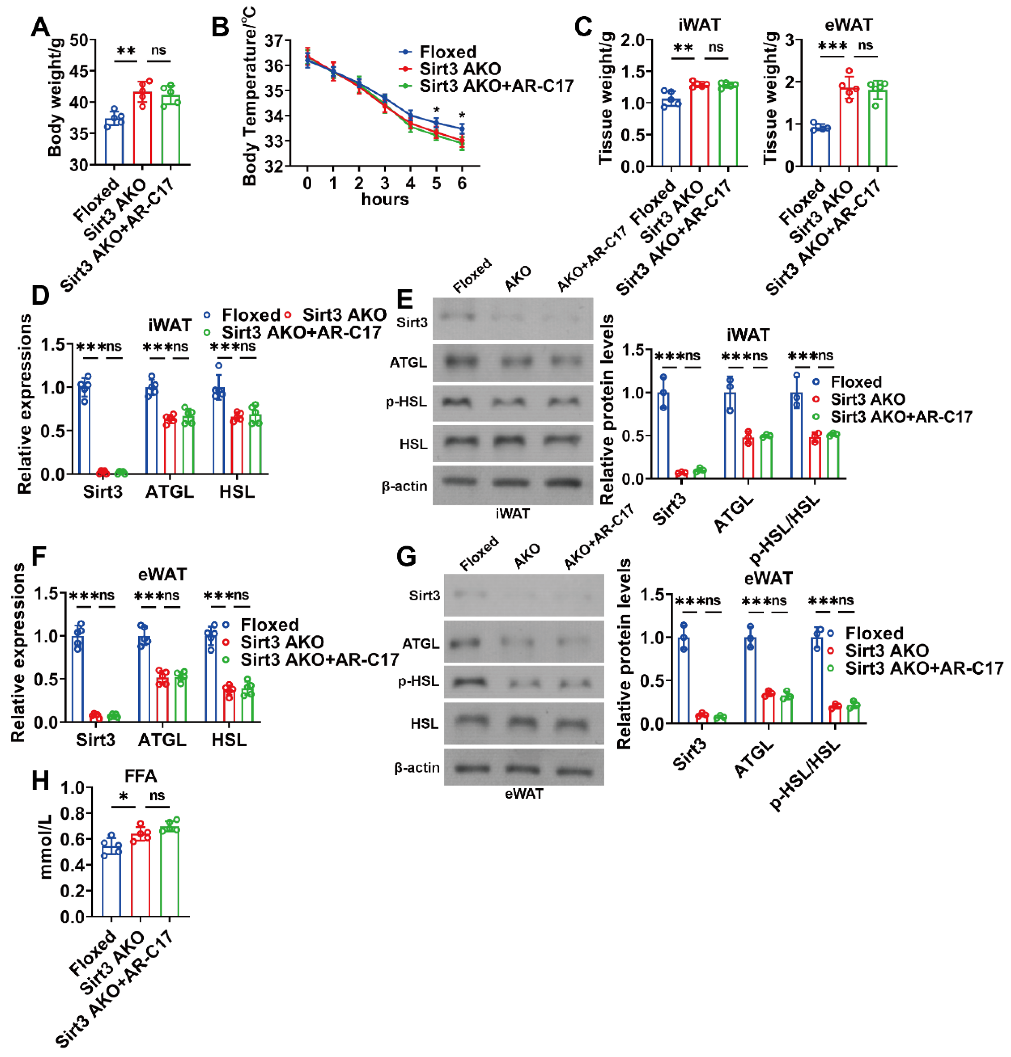 Nutrients 16 00978 g005
