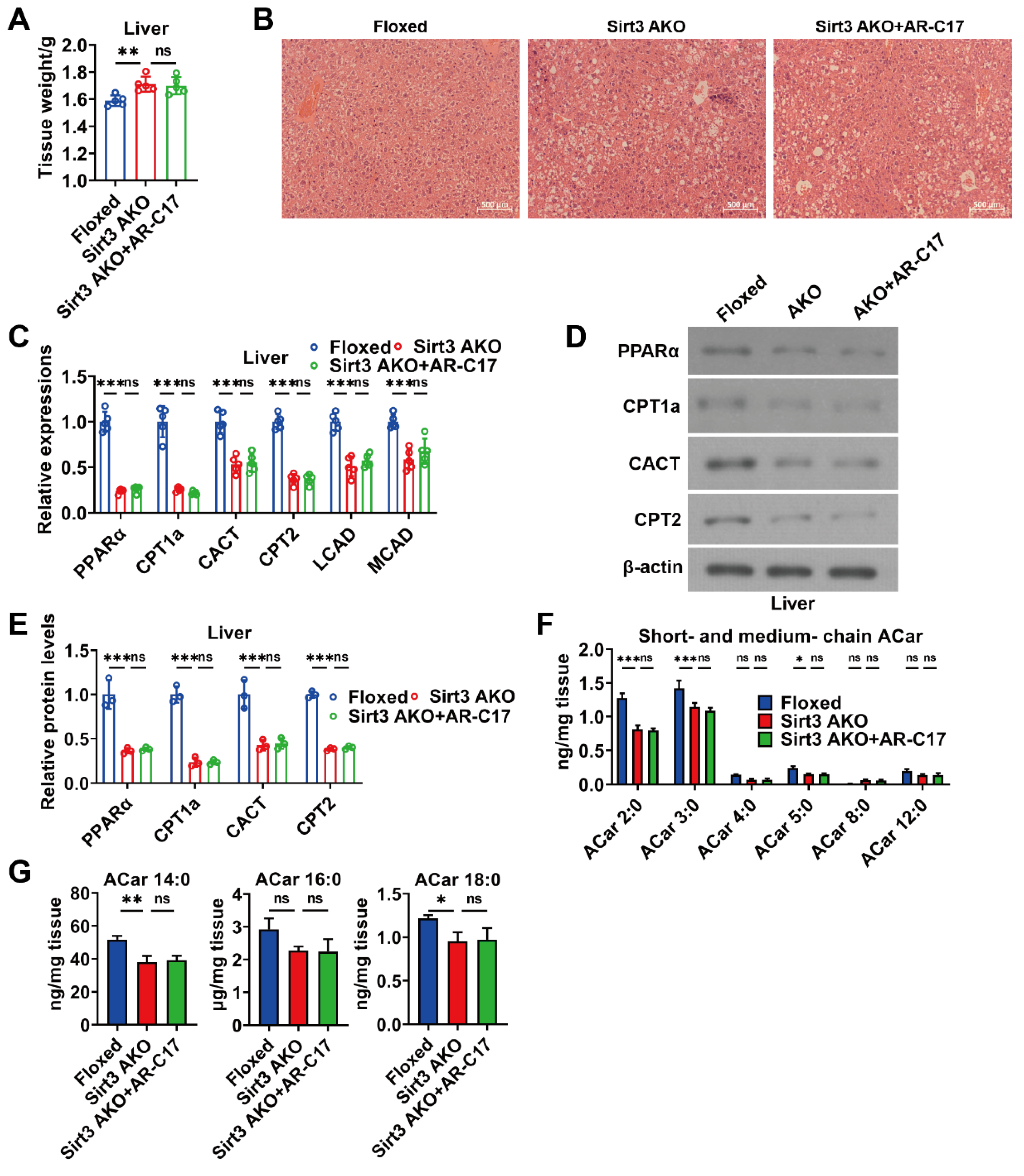 Nutrients 16 00978 g006
