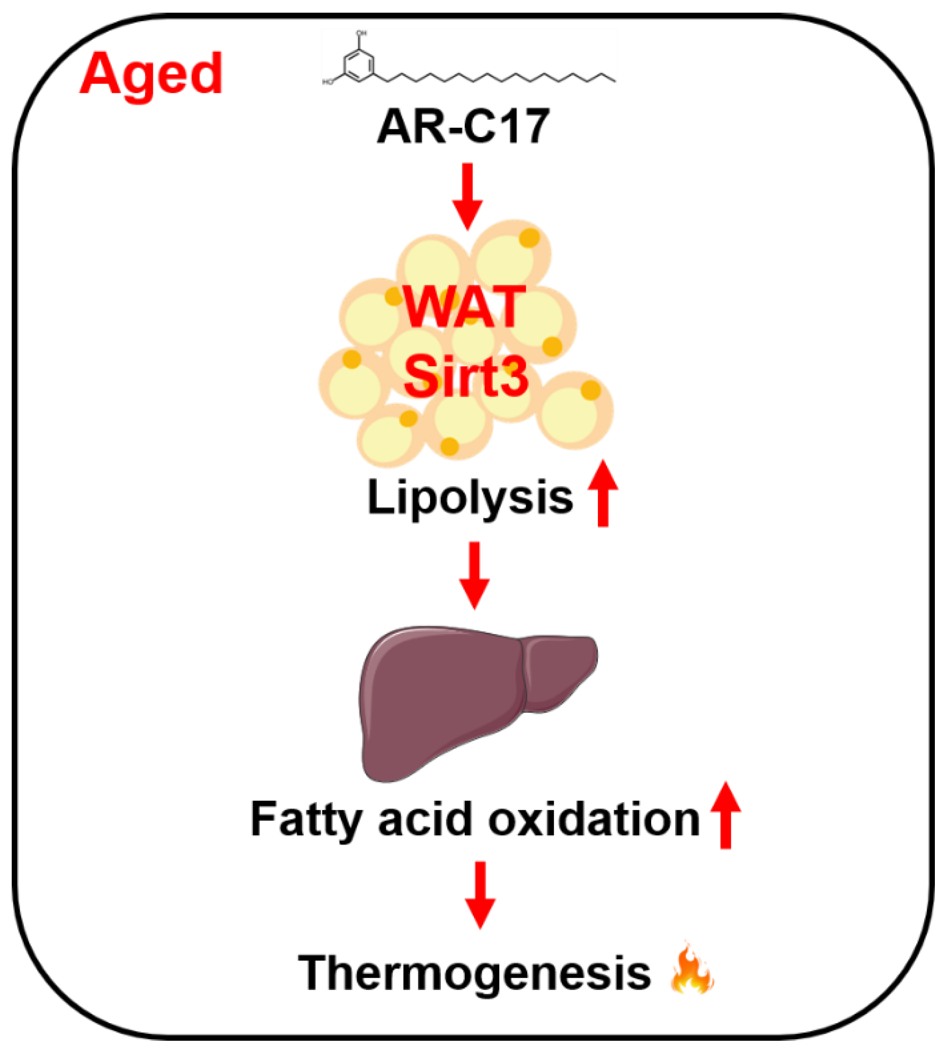 Nutrients 16 00978 g007
