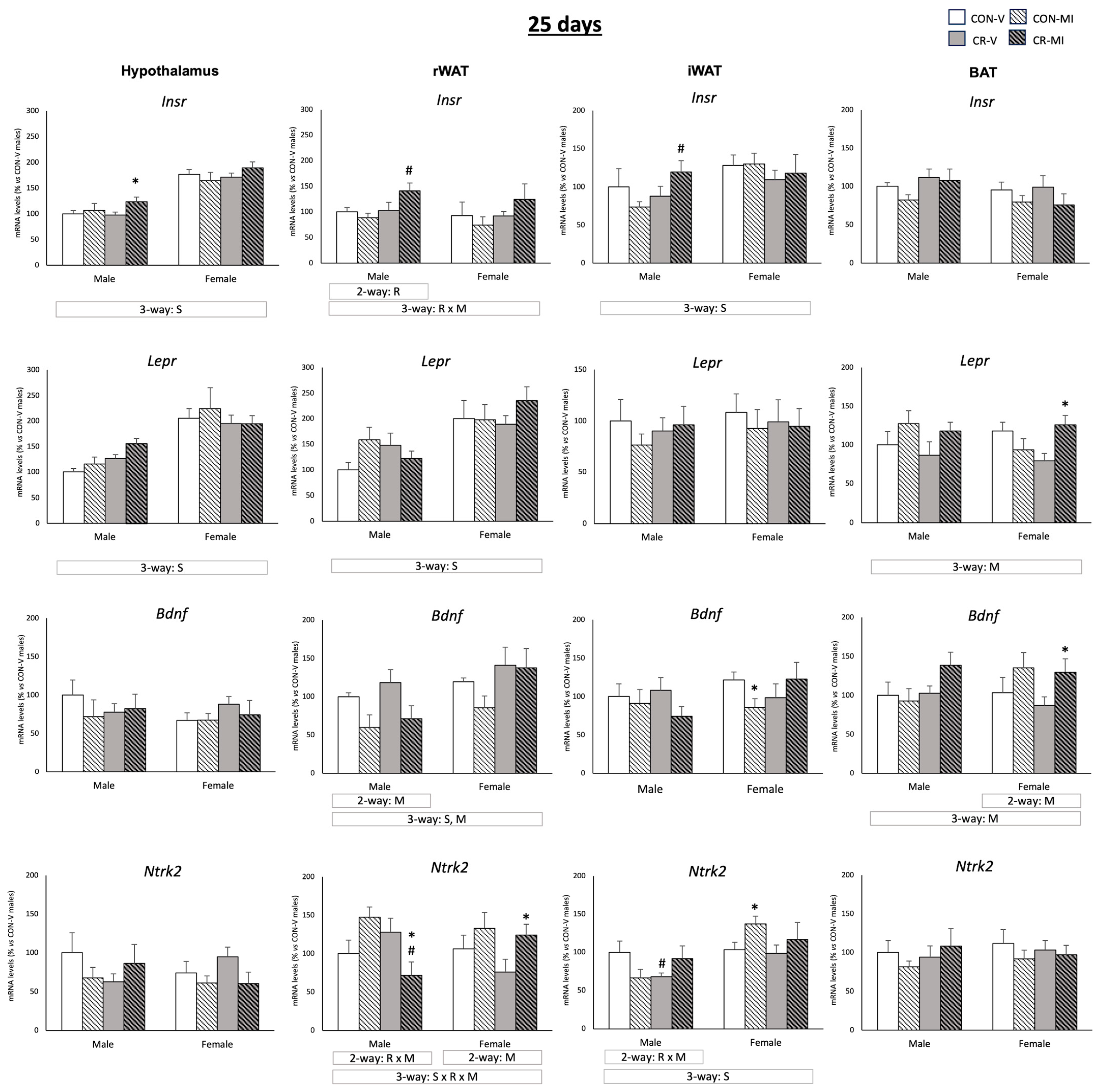 Nutrients 16 00980 g003 Nutrients 16 00980 g003