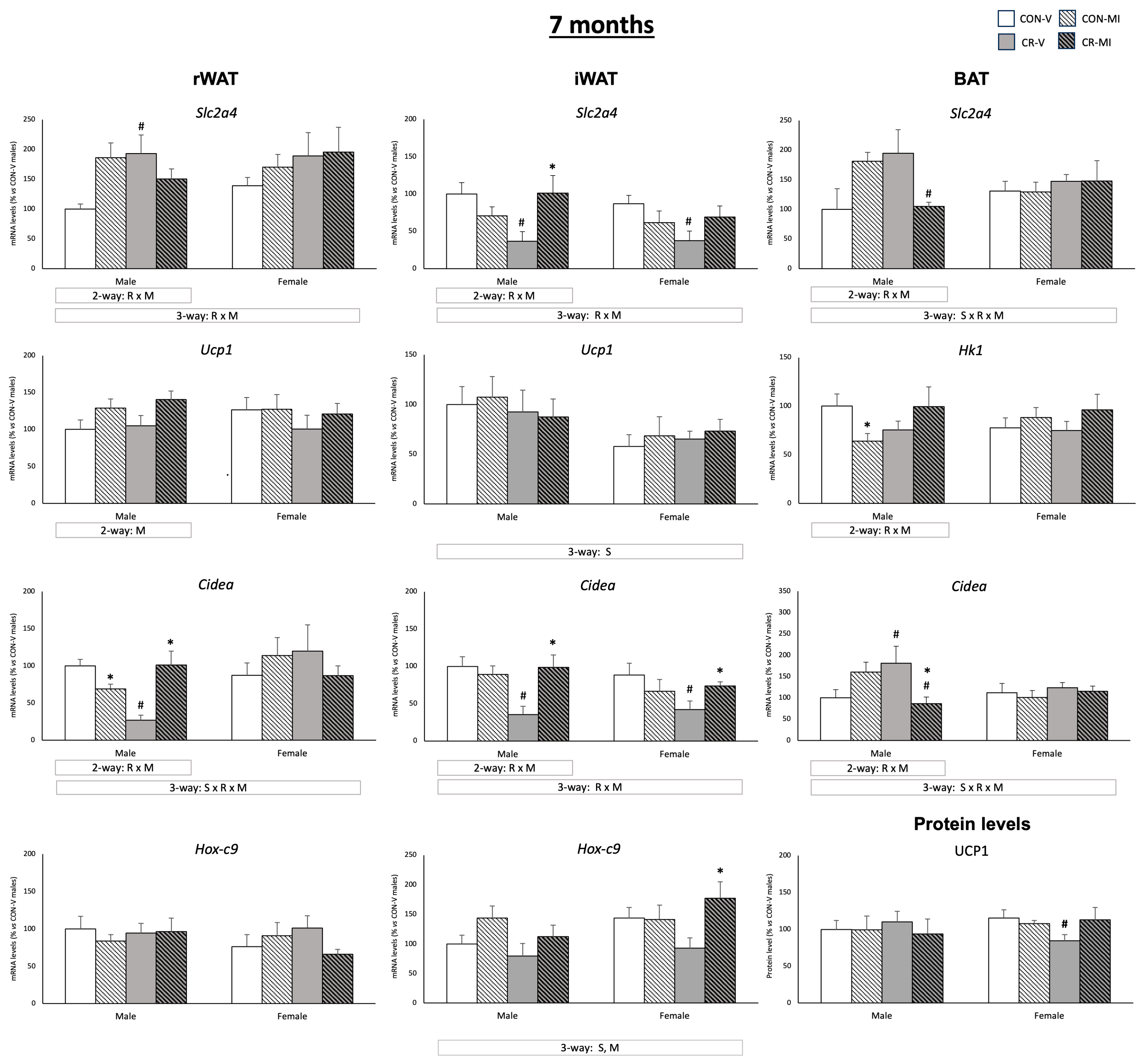 Nutrients 16 00980 g006 Nutrients 16 00980 g006