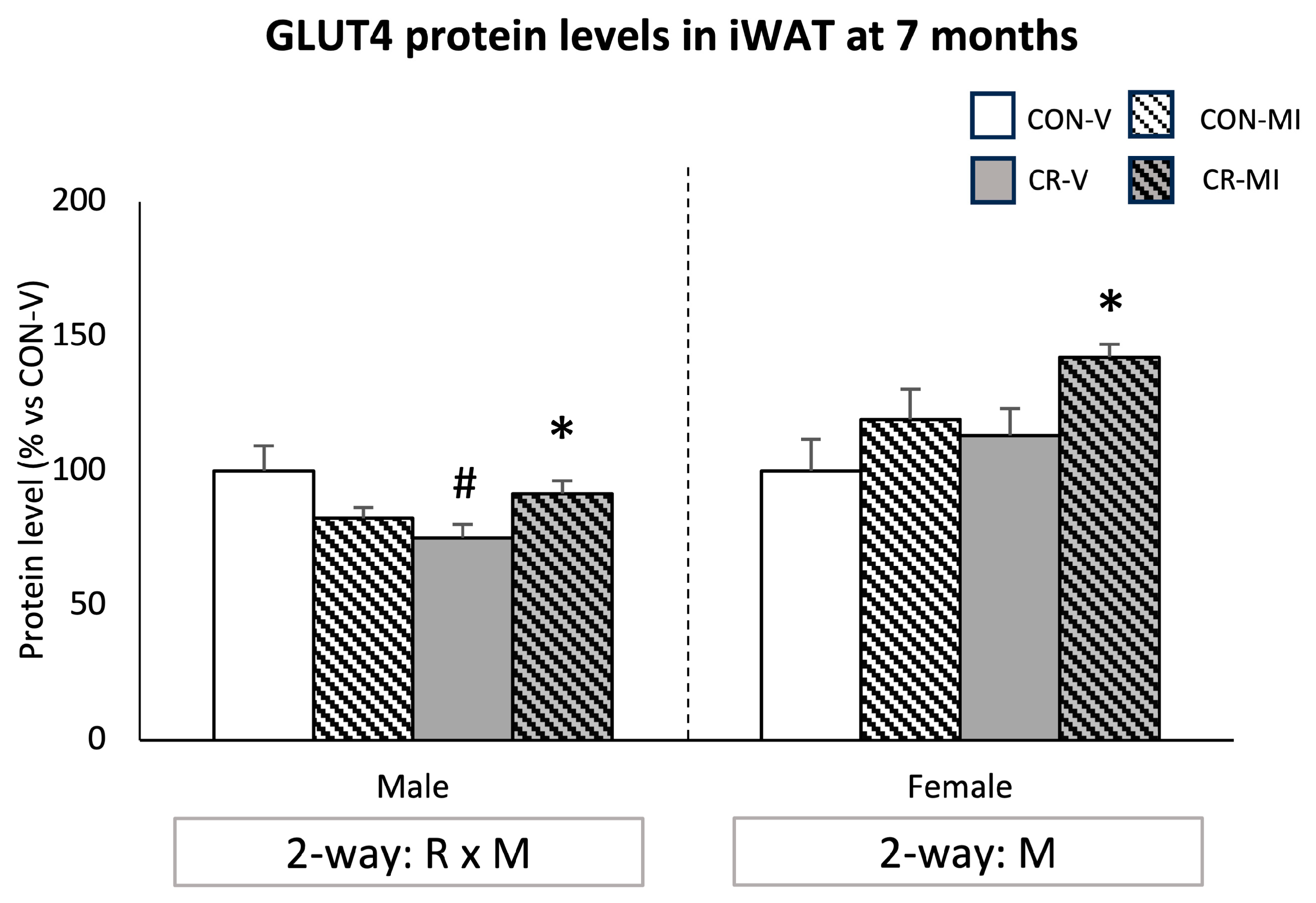Nutrients 16 00980 g007 Nutrients 16 00980 g007