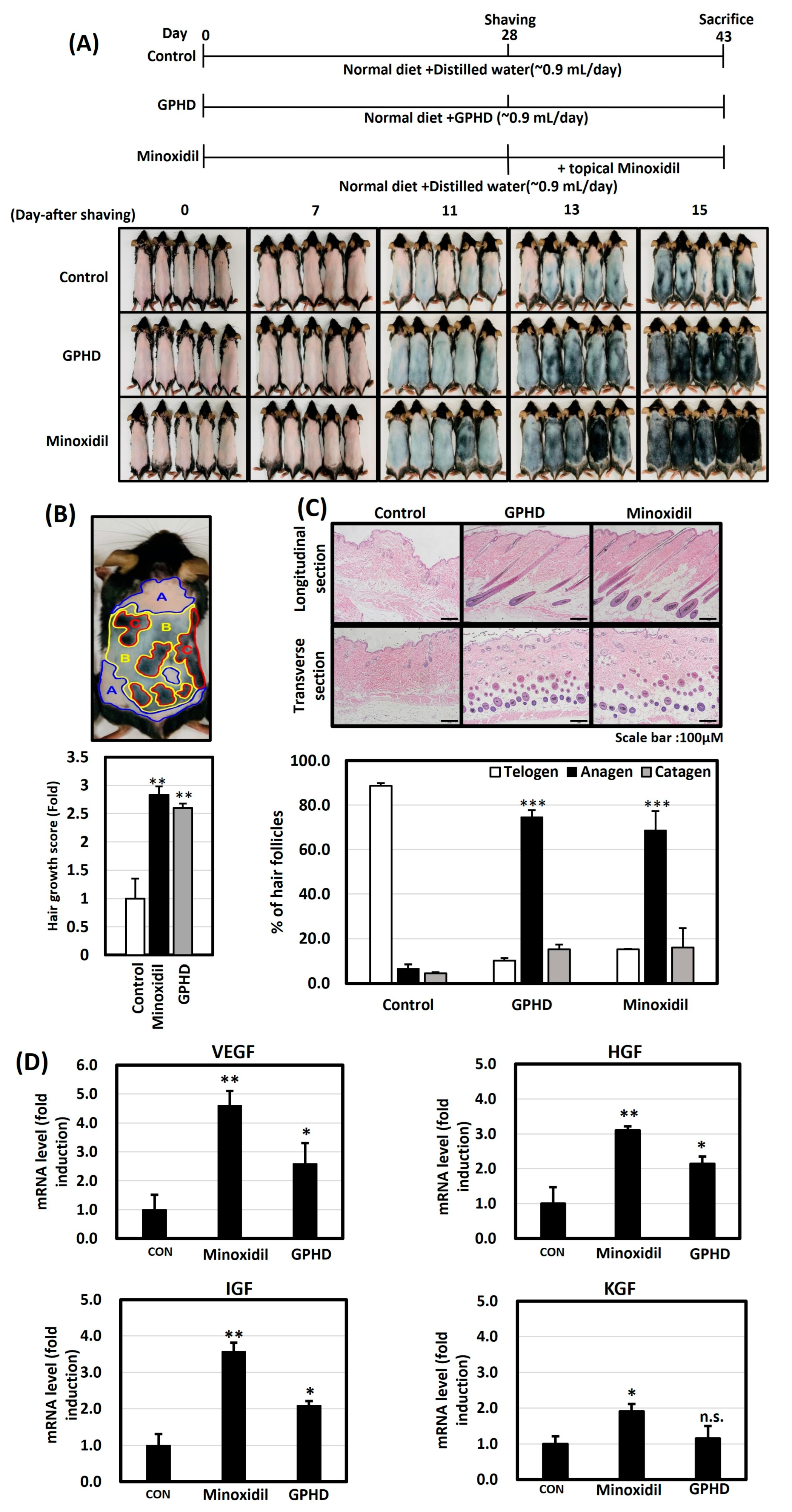 Nutrients 16 00985 g001 Nutrients 16 00985 g001