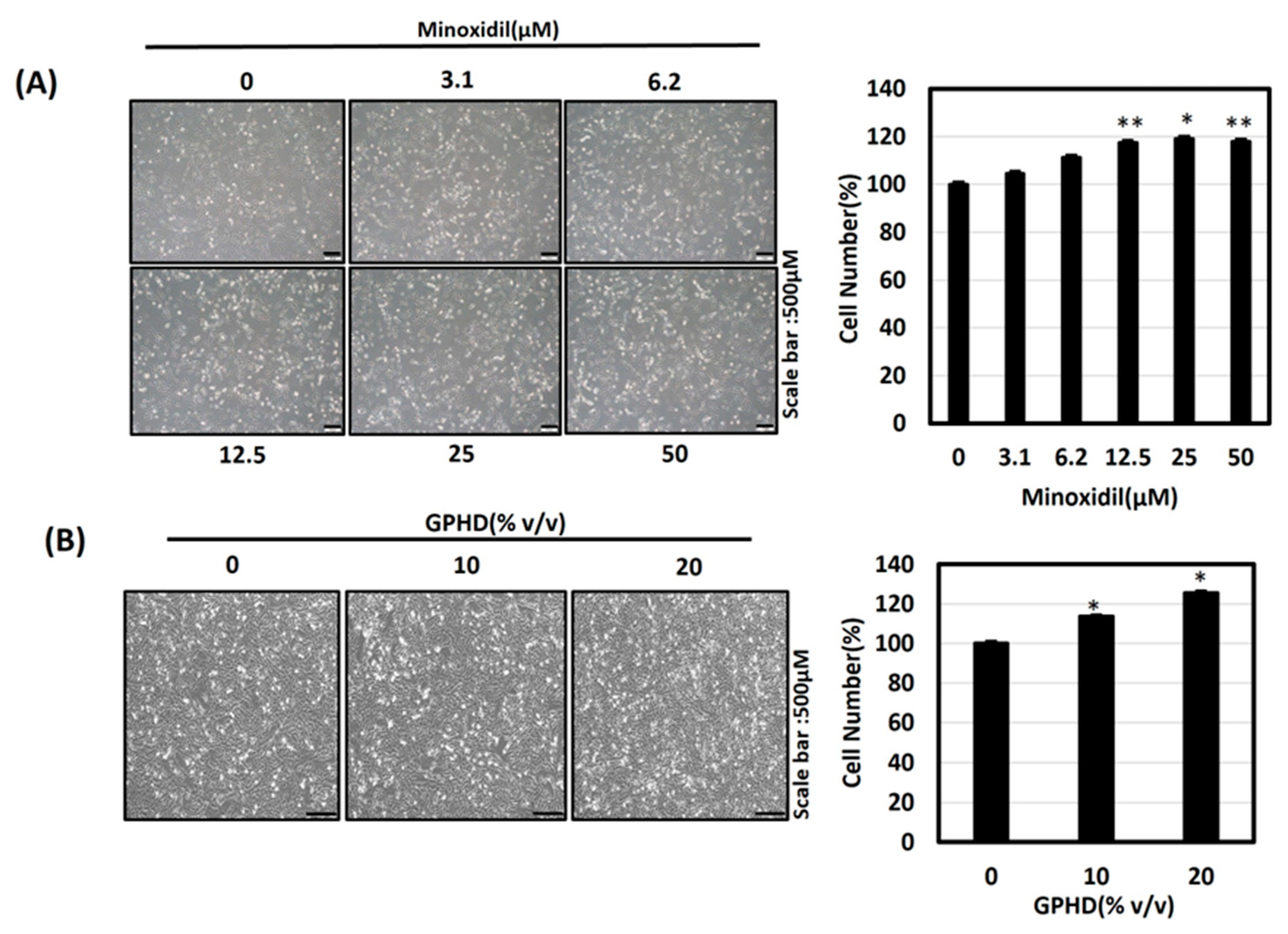 Nutrients 16 00985 g002a Nutrients 16 00985 g002a