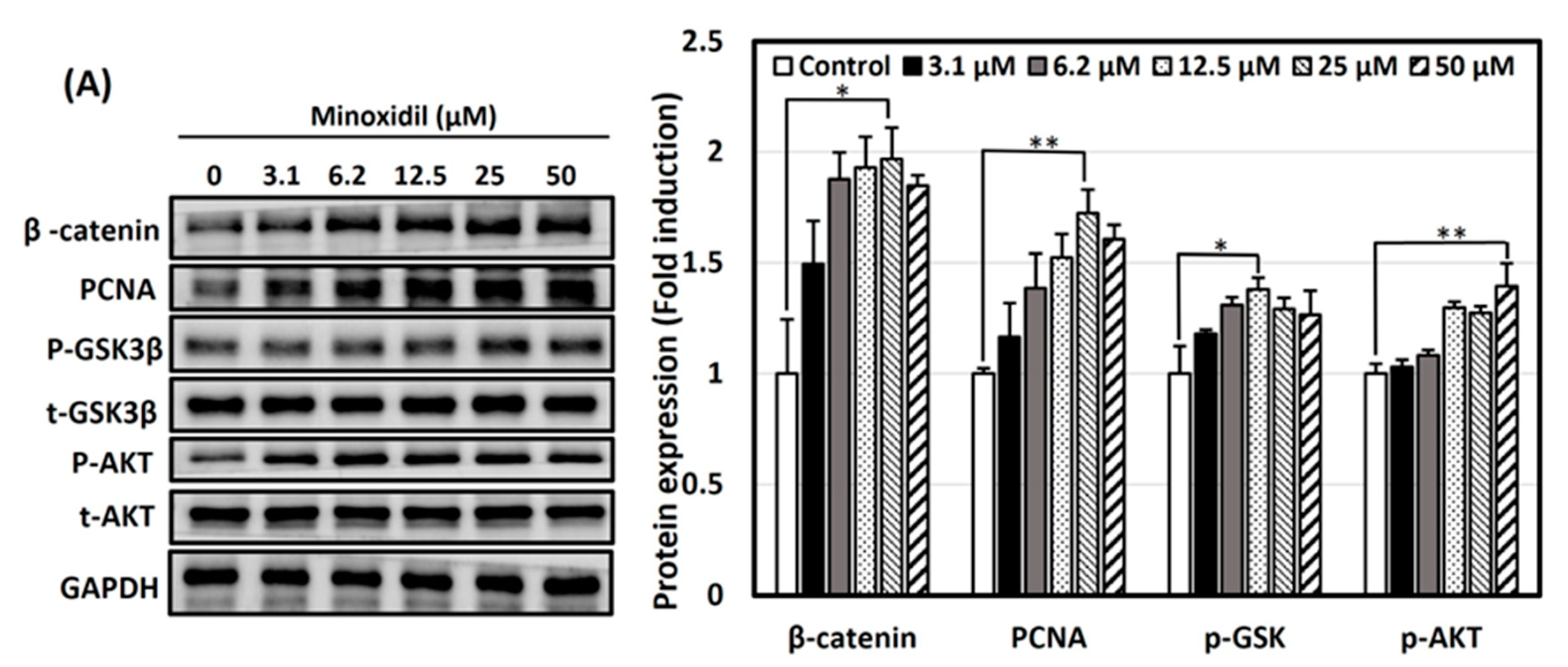 Nutrients 16 00985 g004a Nutrients 16 00985 g004a