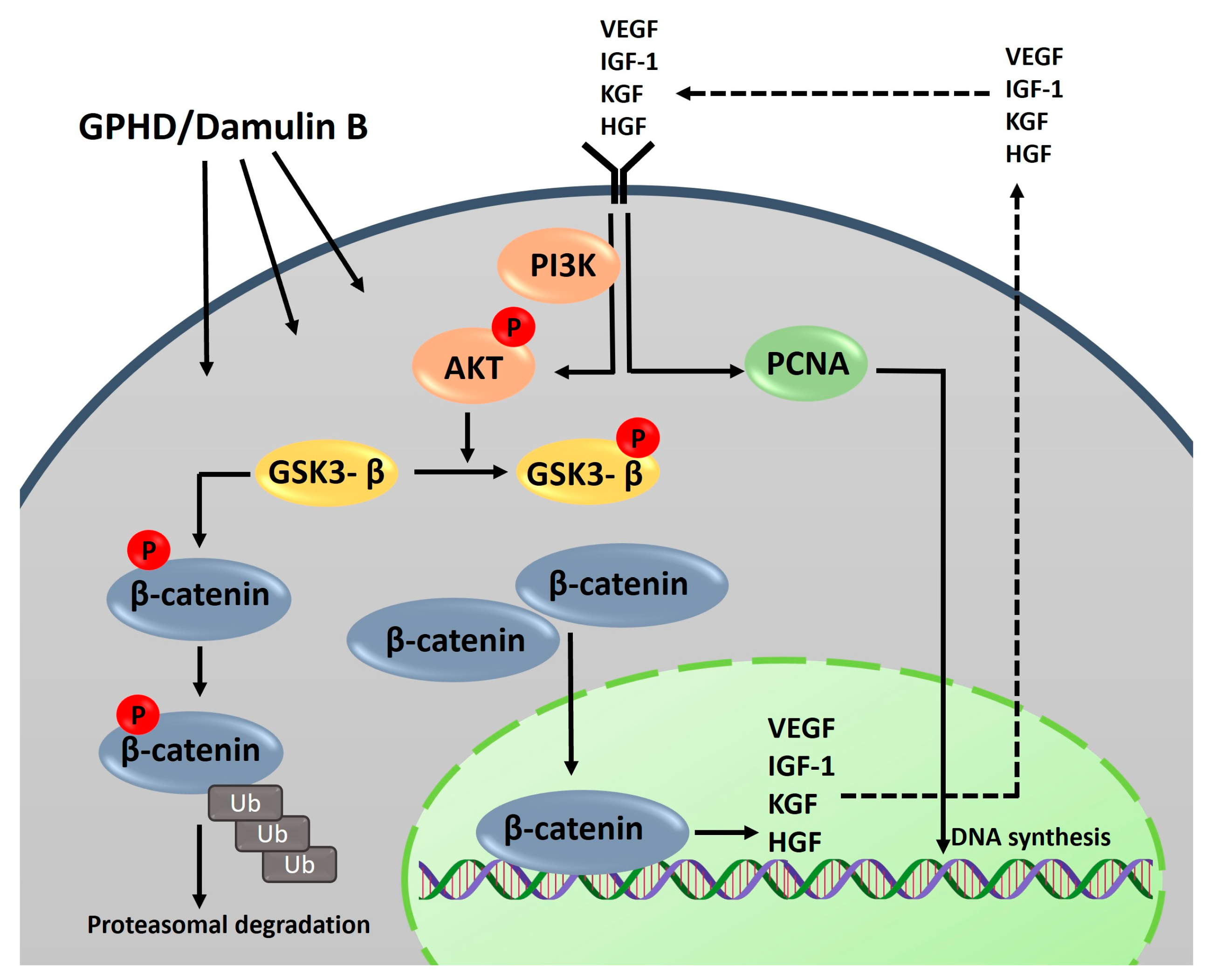Nutrients 16 00985 g006 Nutrients 16 00985 g006