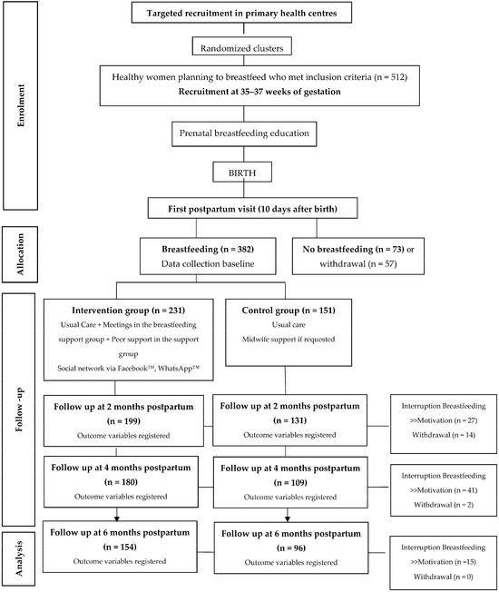 Effectiveness of a Postpartum Breastfeeding Support Group 