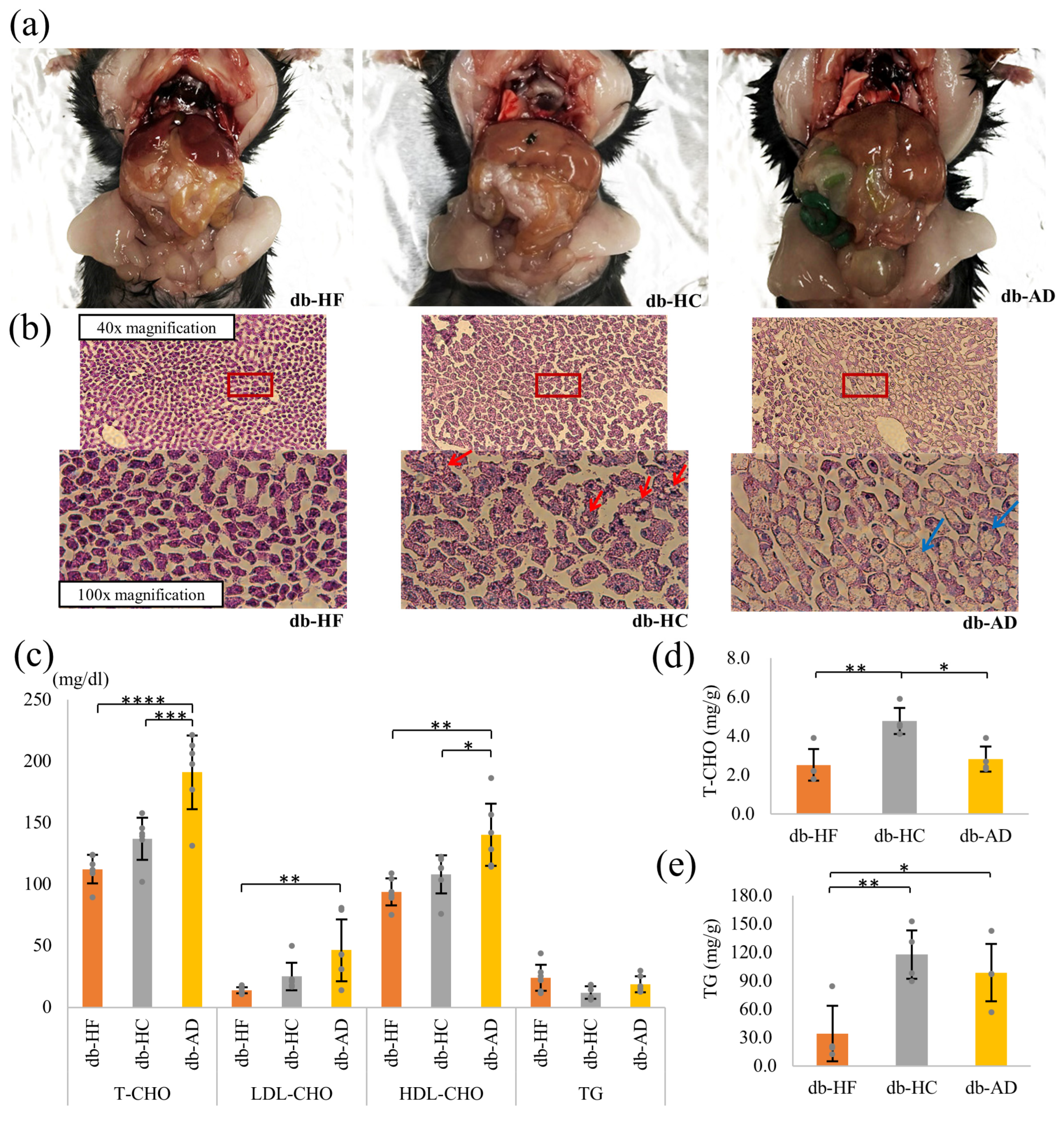 Nutrients 16 00995 g003