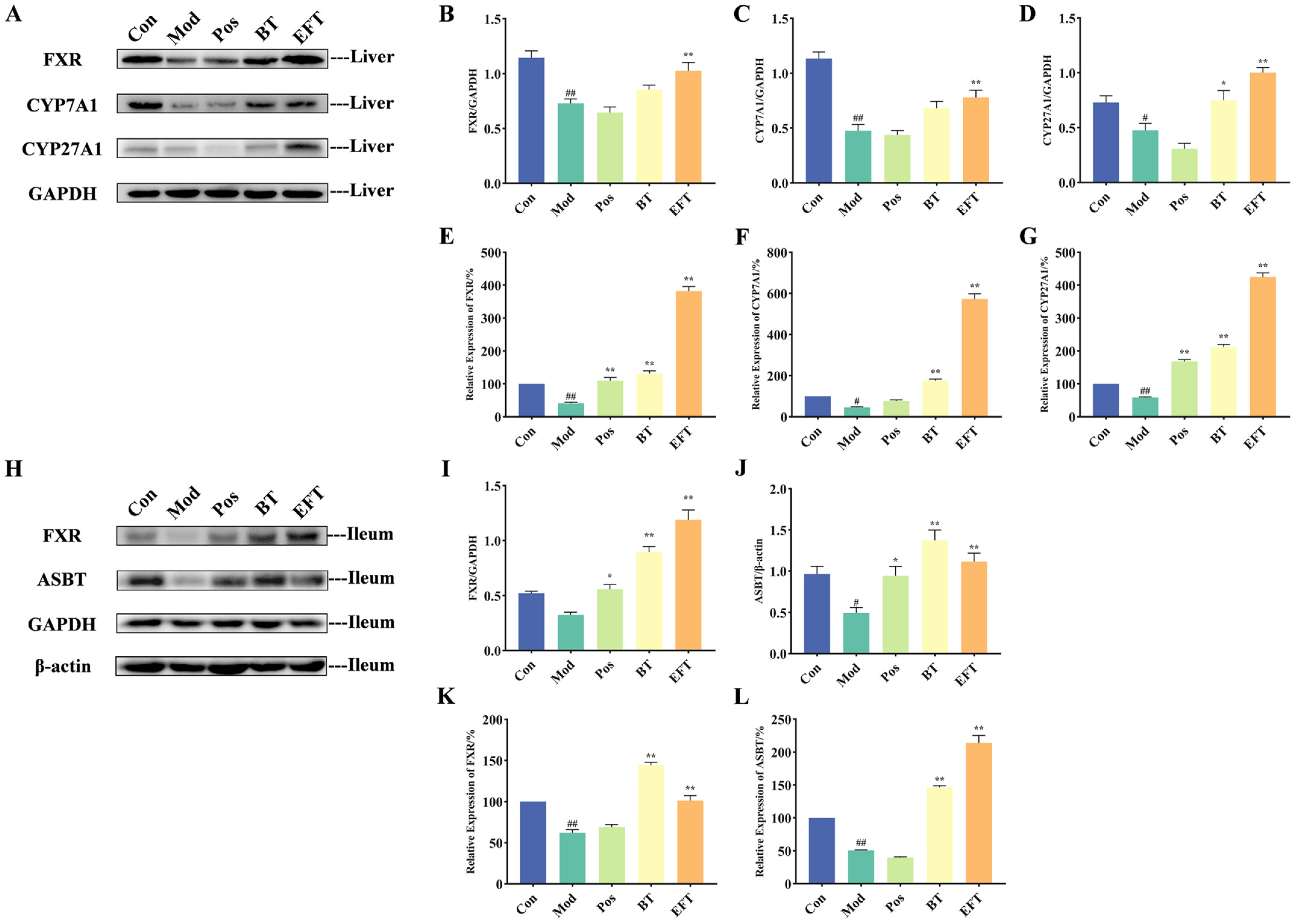 Nutrients 16 00998 g006