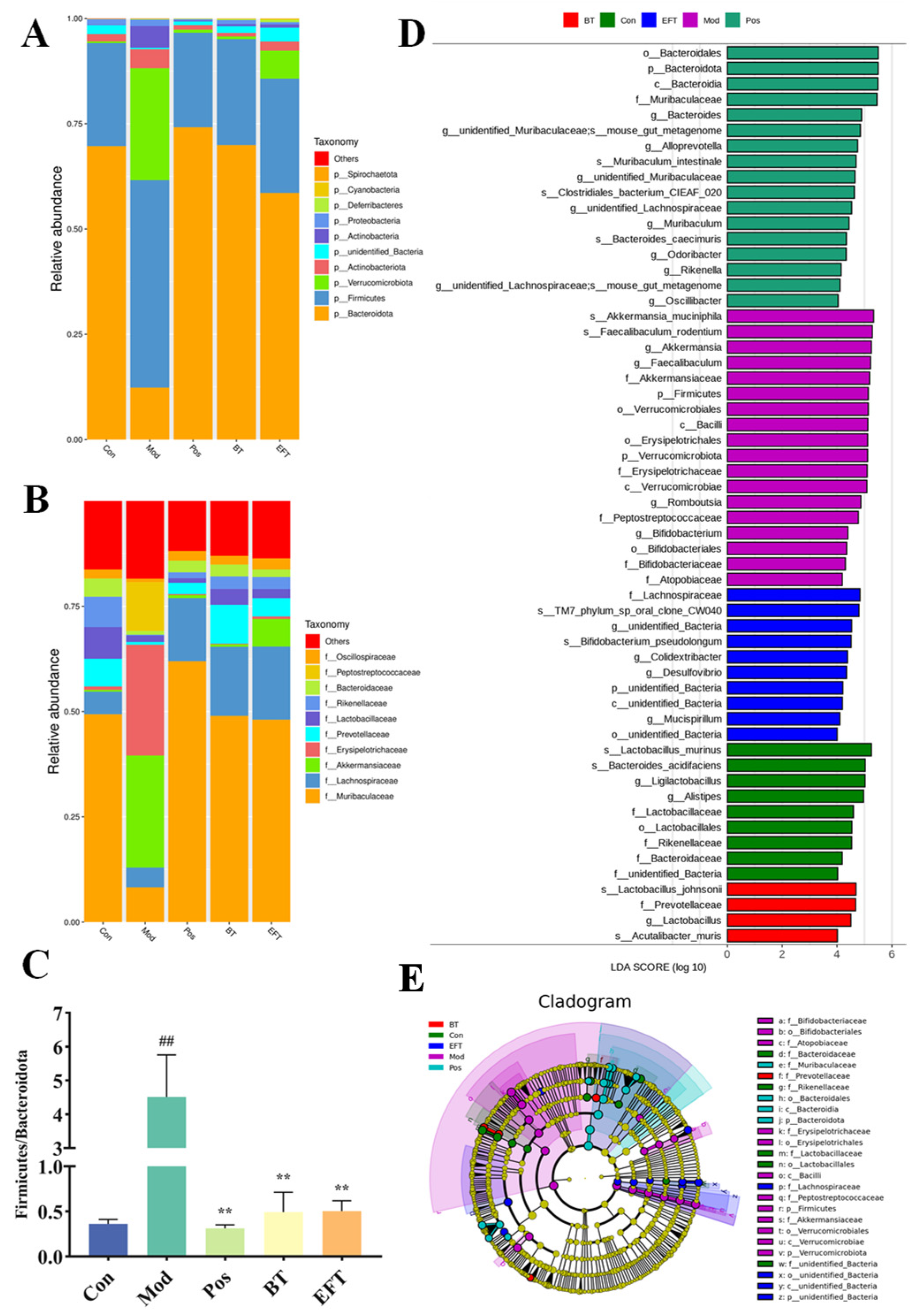 Nutrients 16 00998 g008