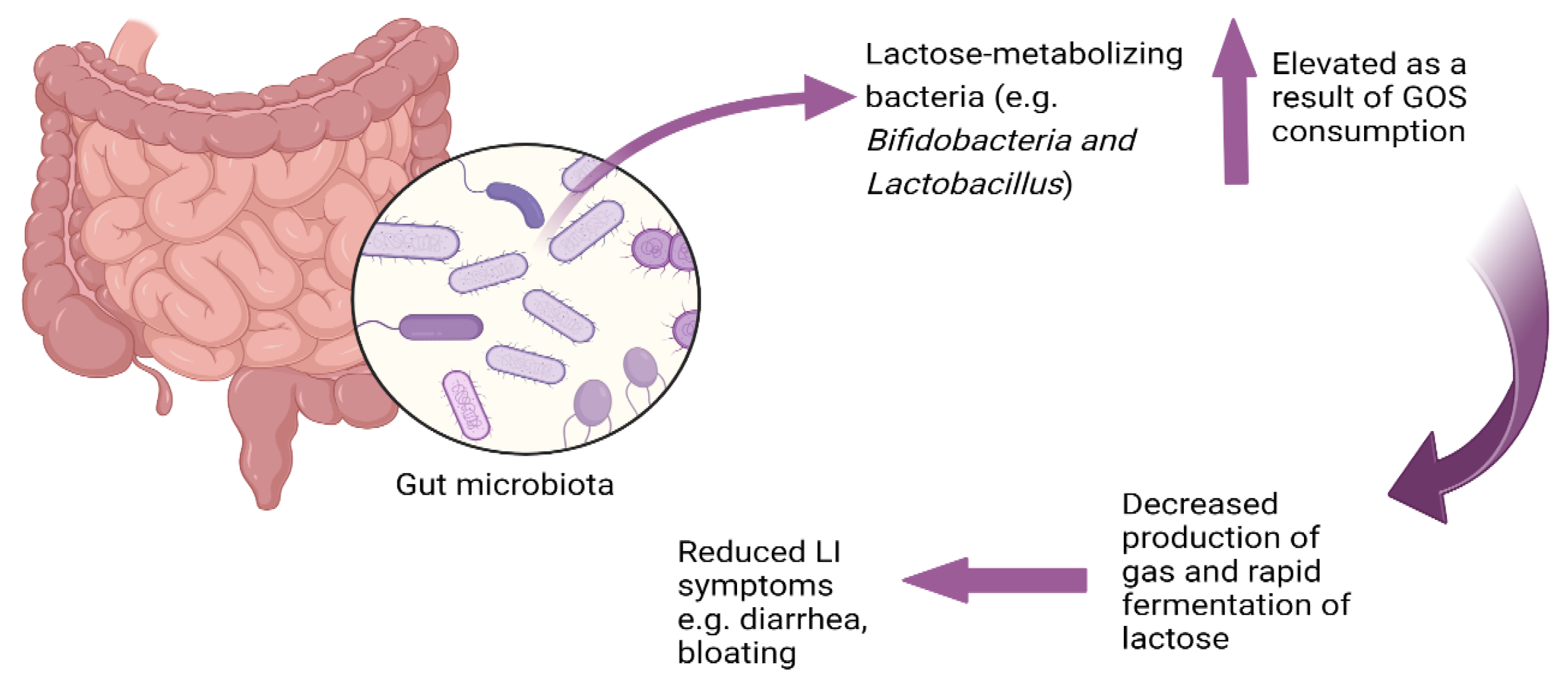 Nutrients 16 01002 g001