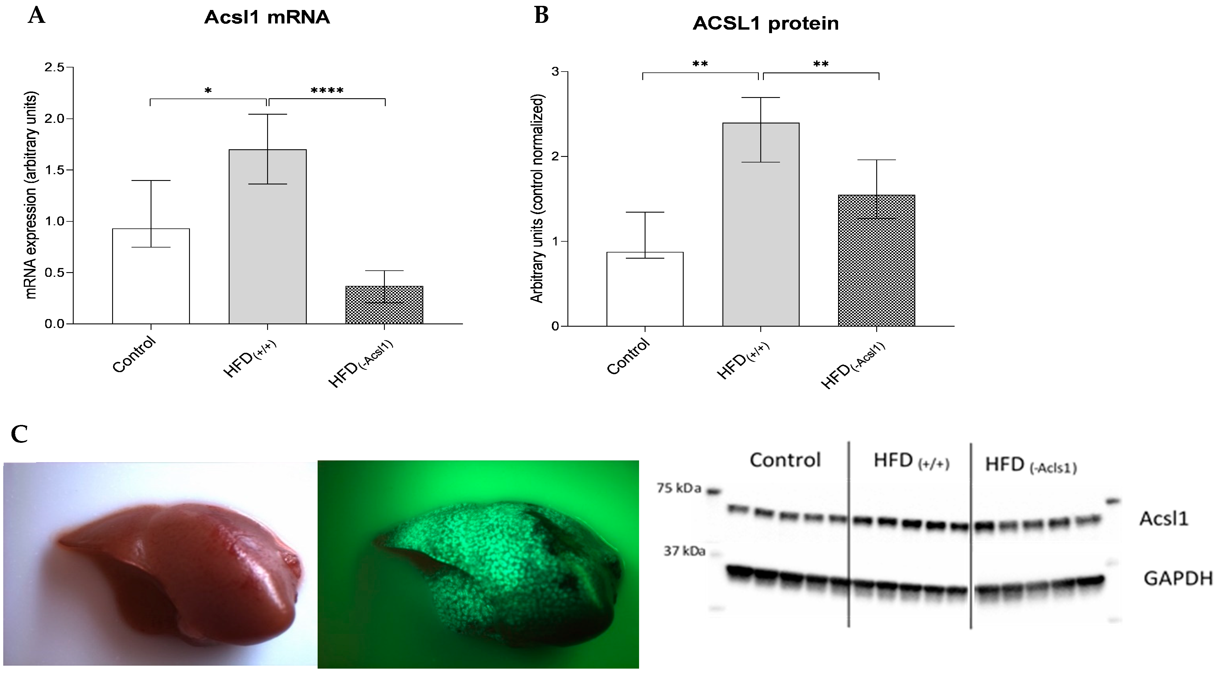 Nutrients 16 01003 g001