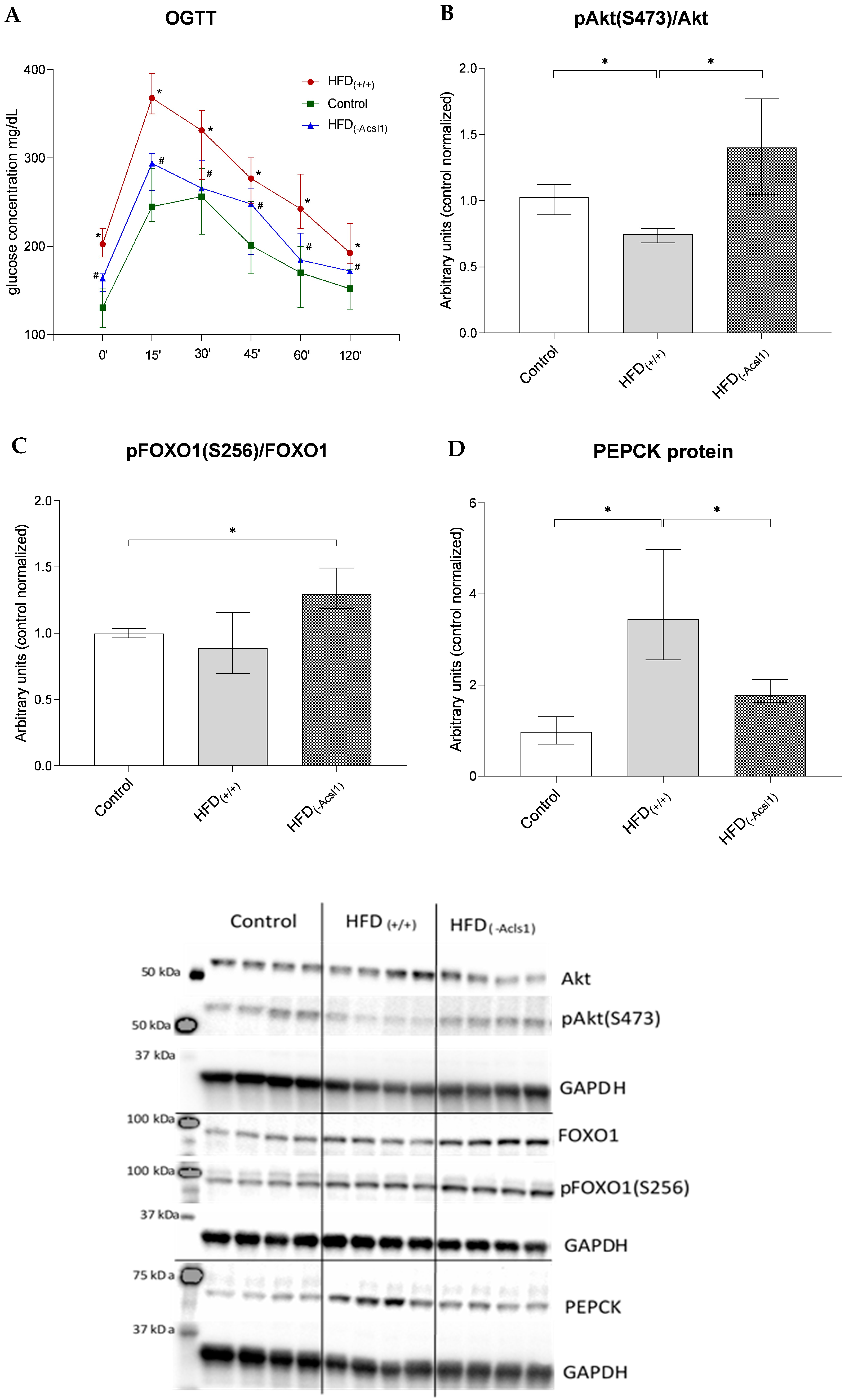 Nutrients 16 01003 g003
