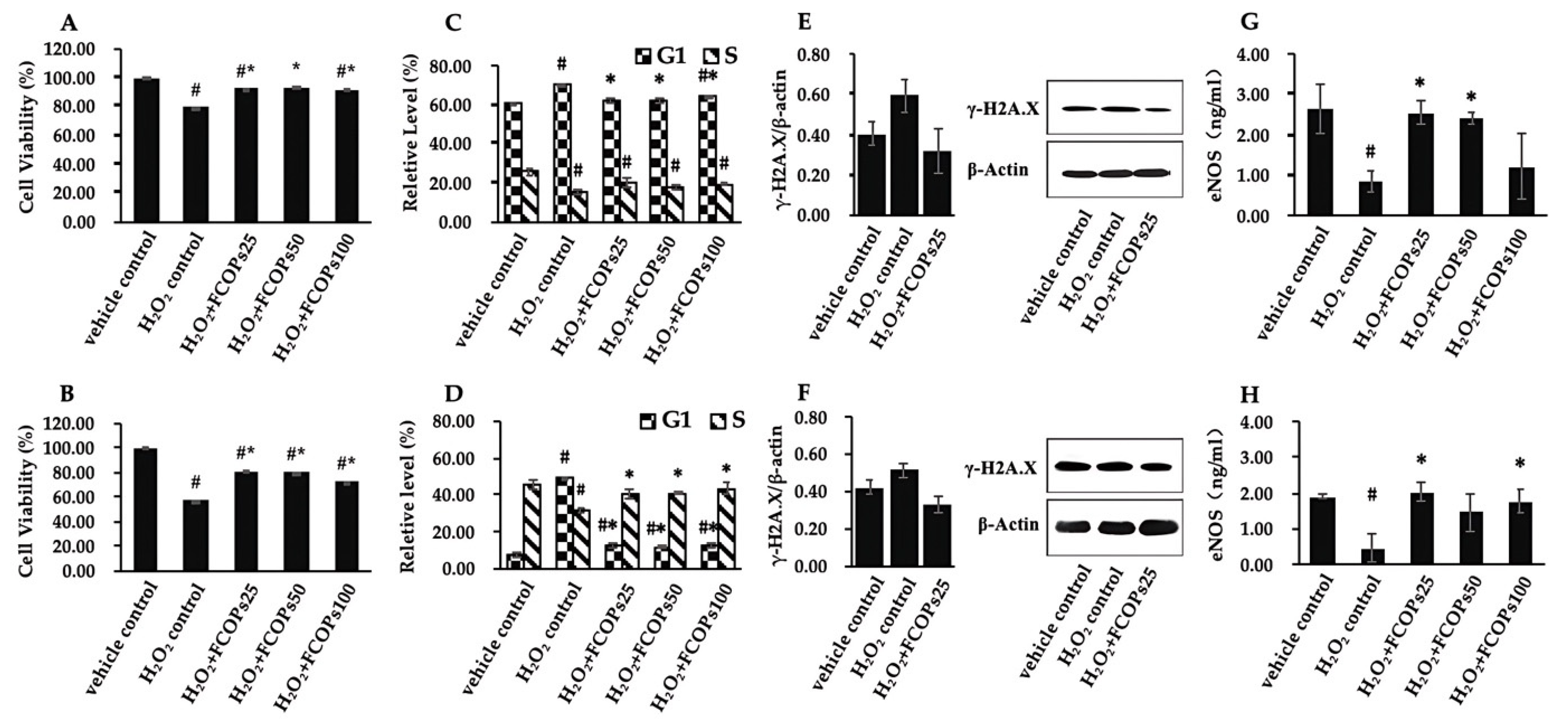 Nutrients 16 01004 g002