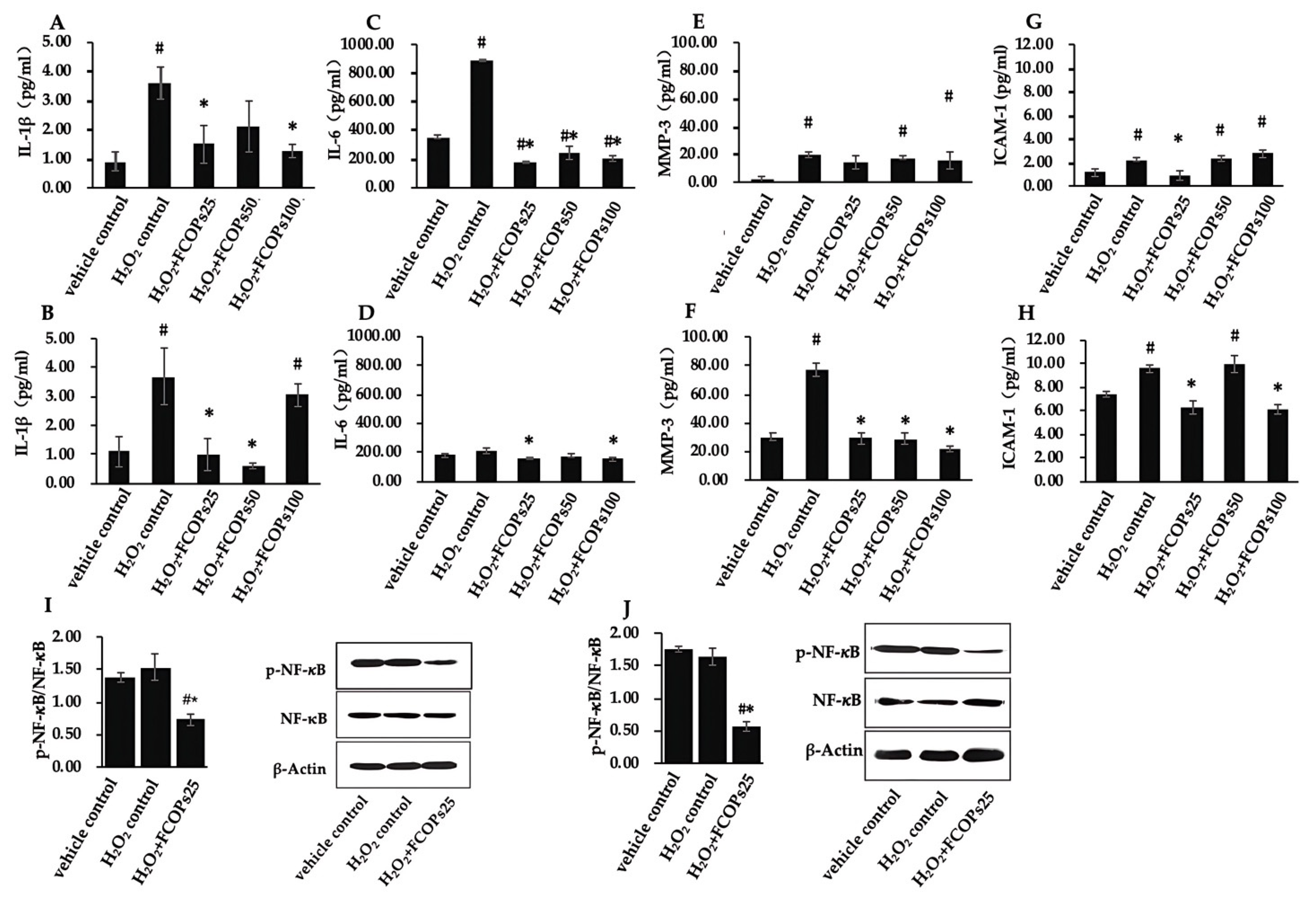 Nutrients 16 01004 g003