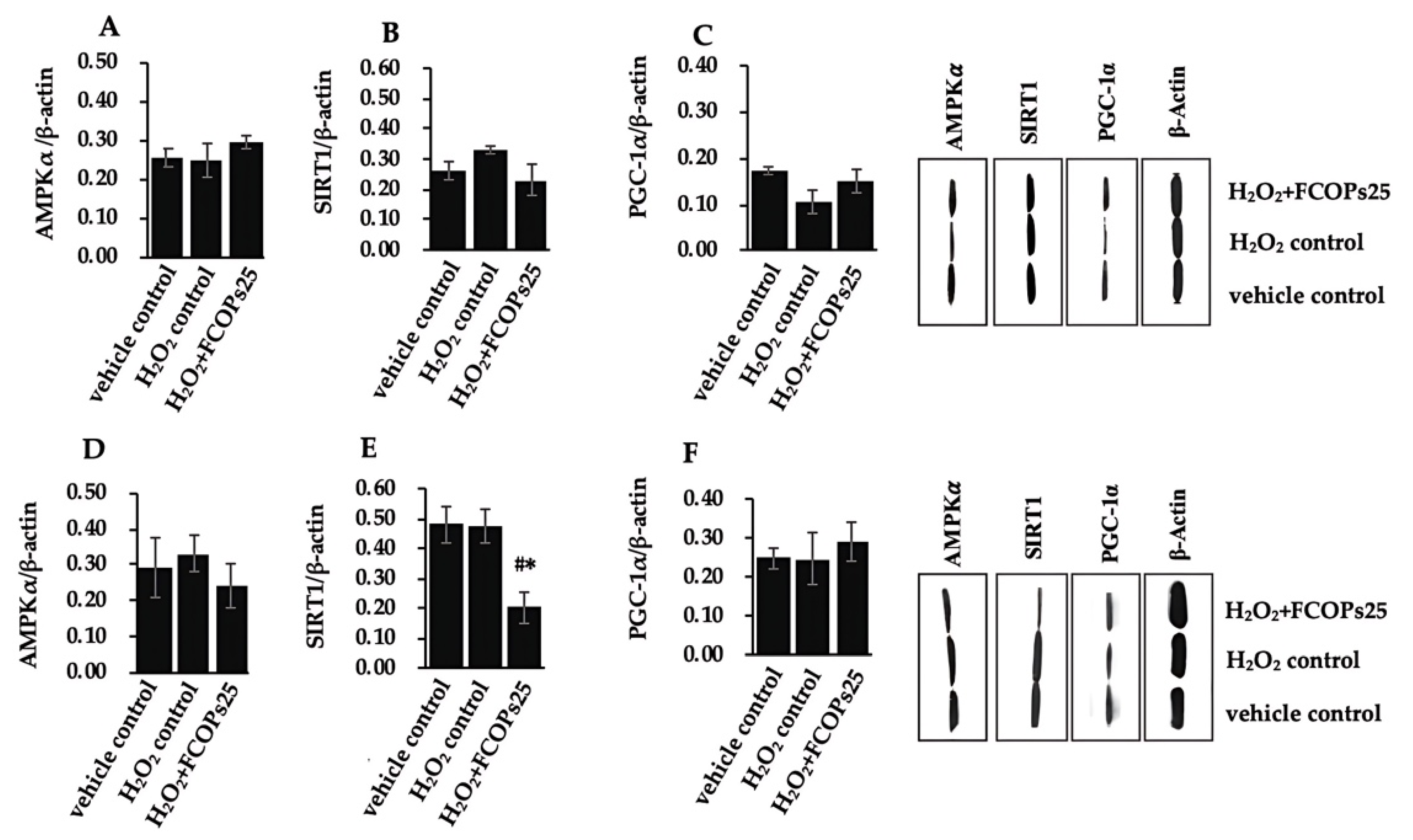Nutrients 16 01004 g005