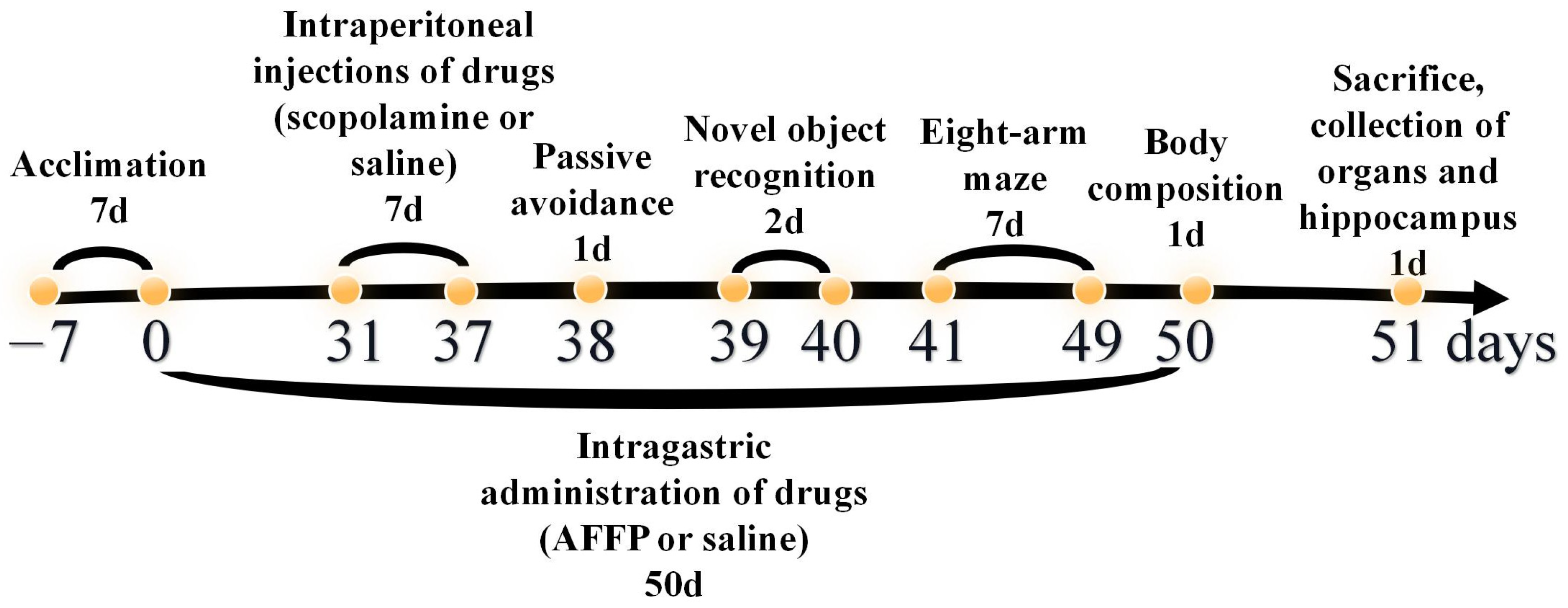 Nutrients 16 01019 g001