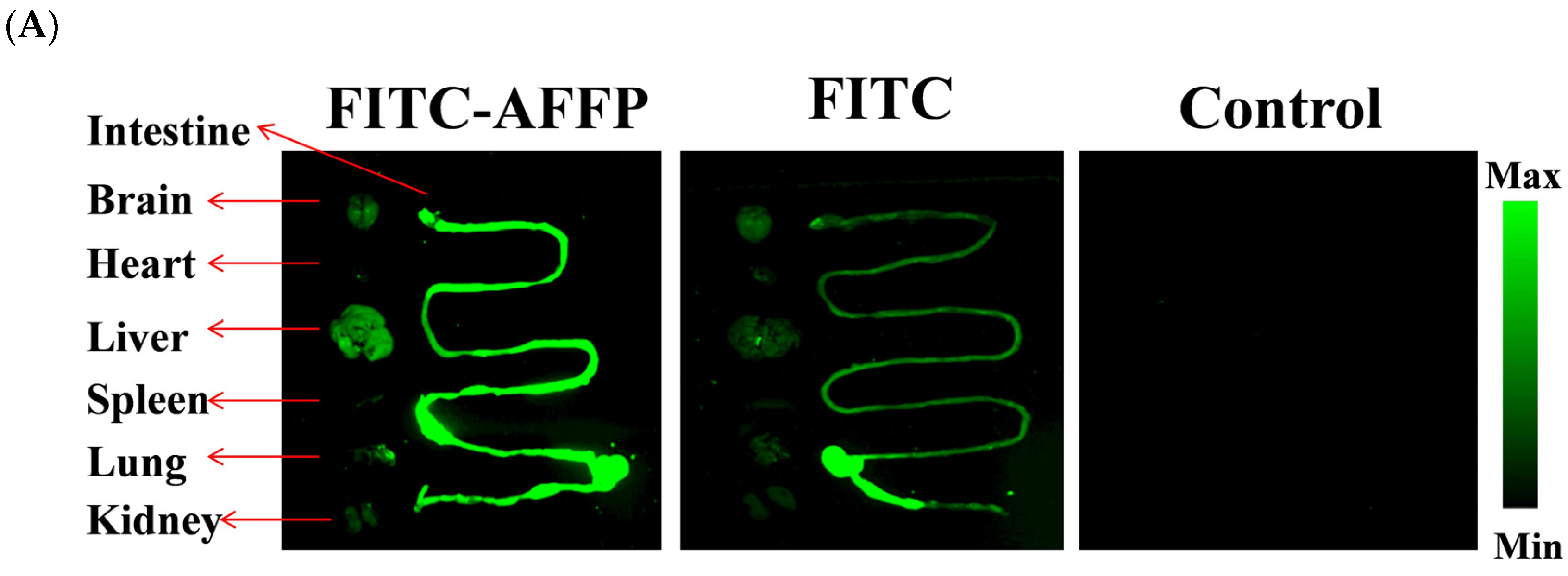 Nutrients 16 01019 g003a