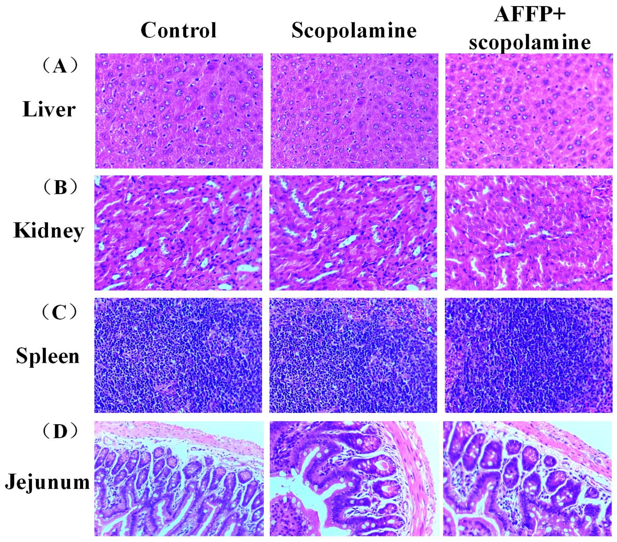Nutrients 16 01019 g004