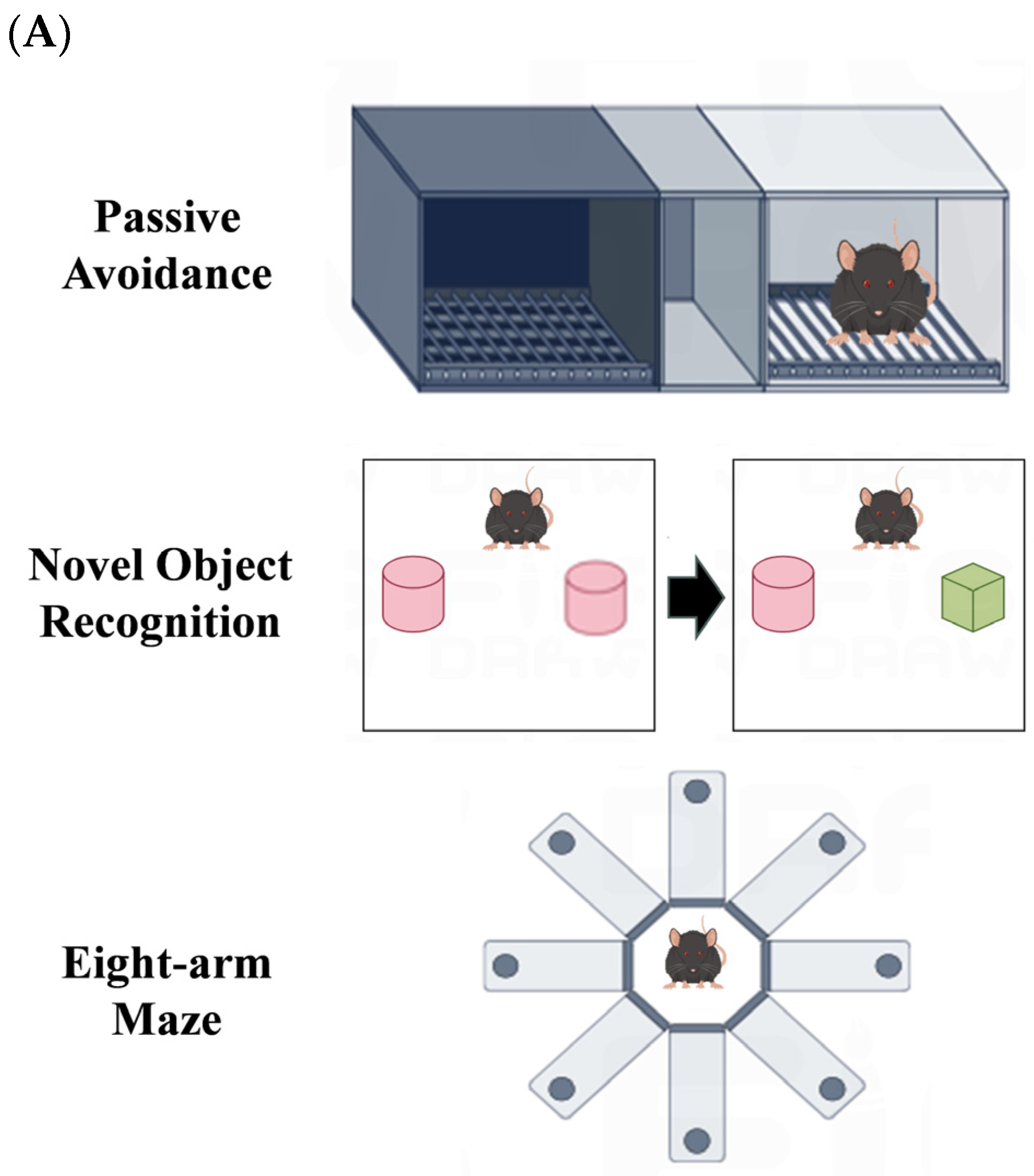 Nutrients 16 01019 g005a