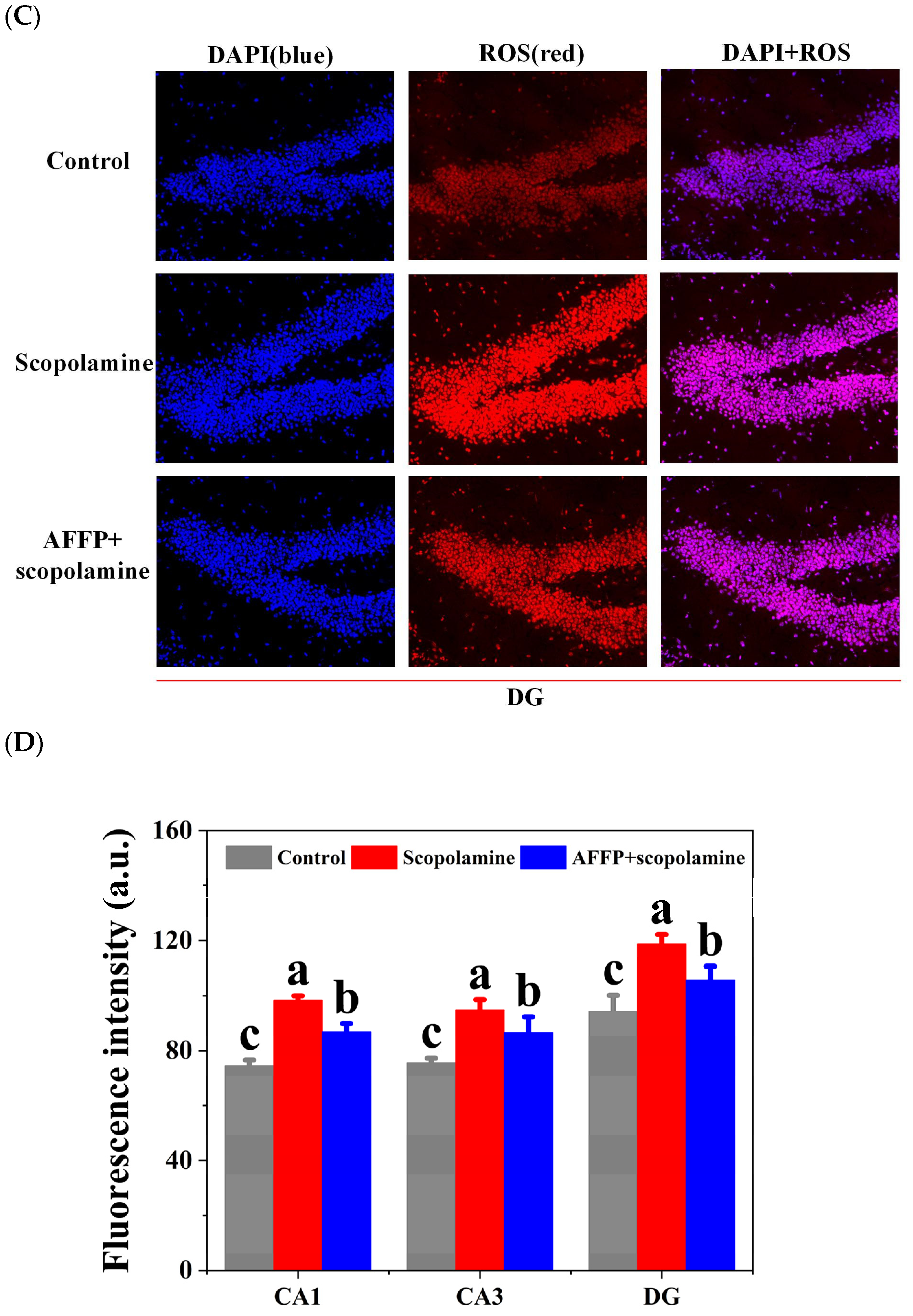 Nutrients 16 01019 g007b