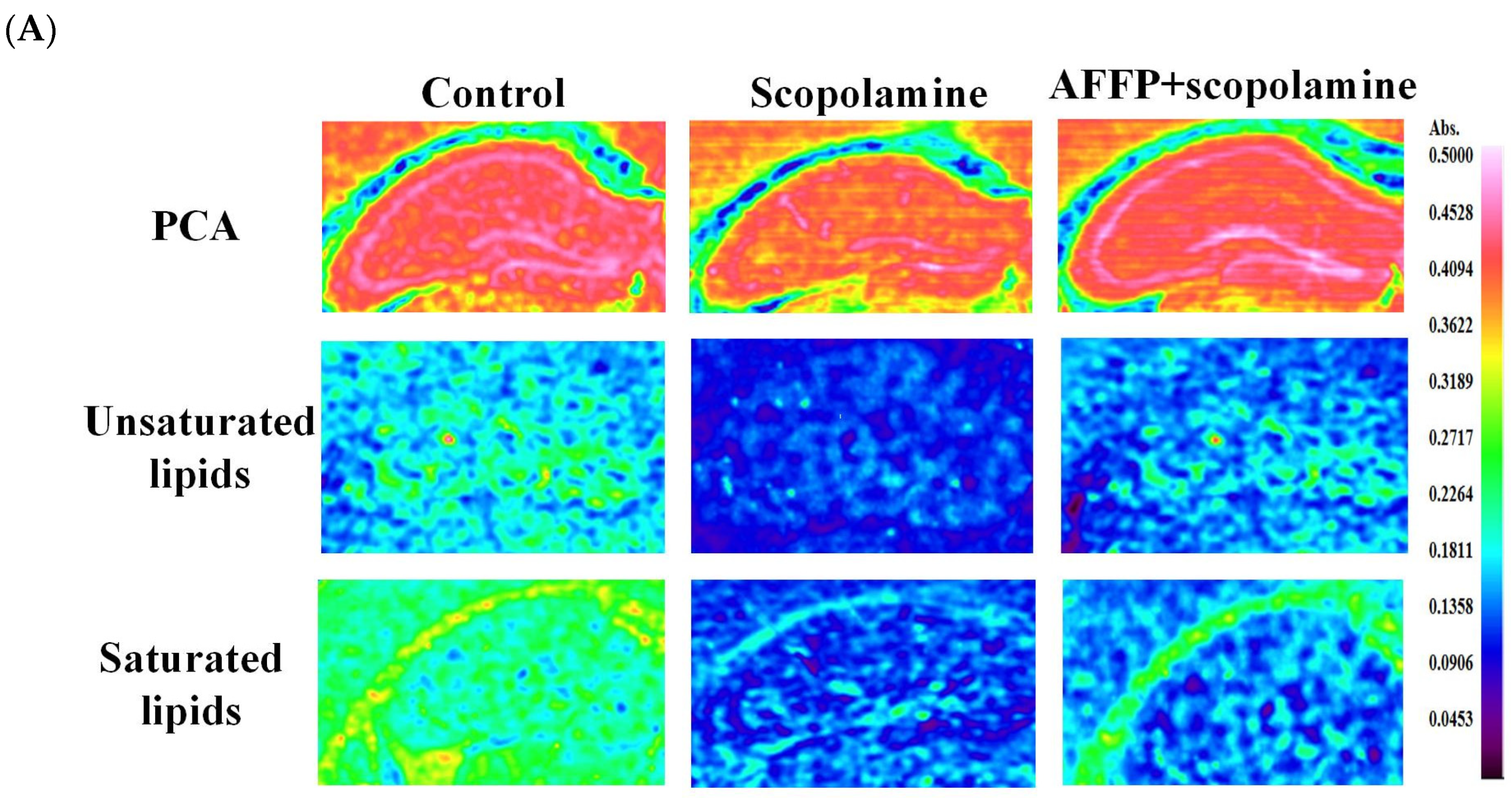 Nutrients 16 01019 g008a