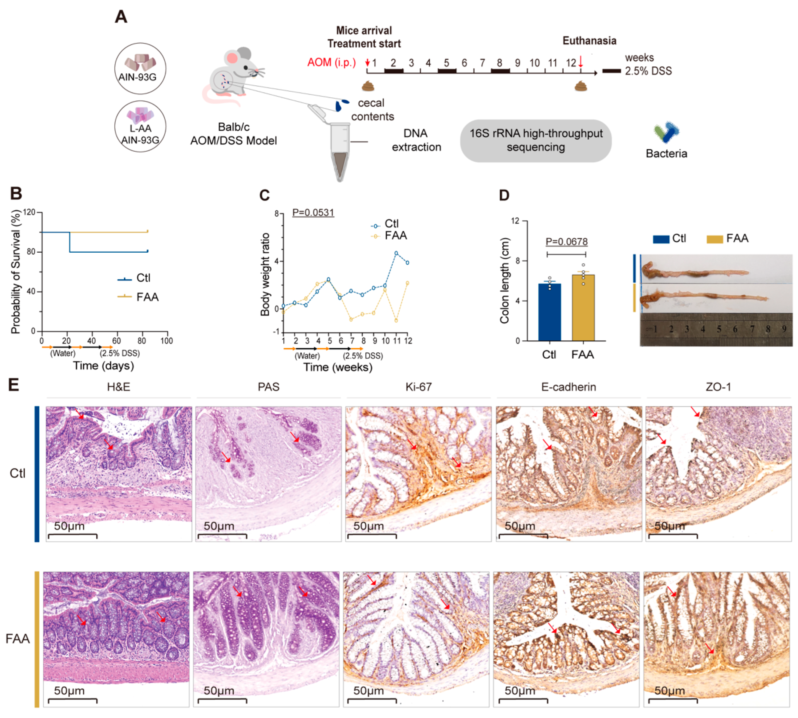 Nutrients 16 01040 g001