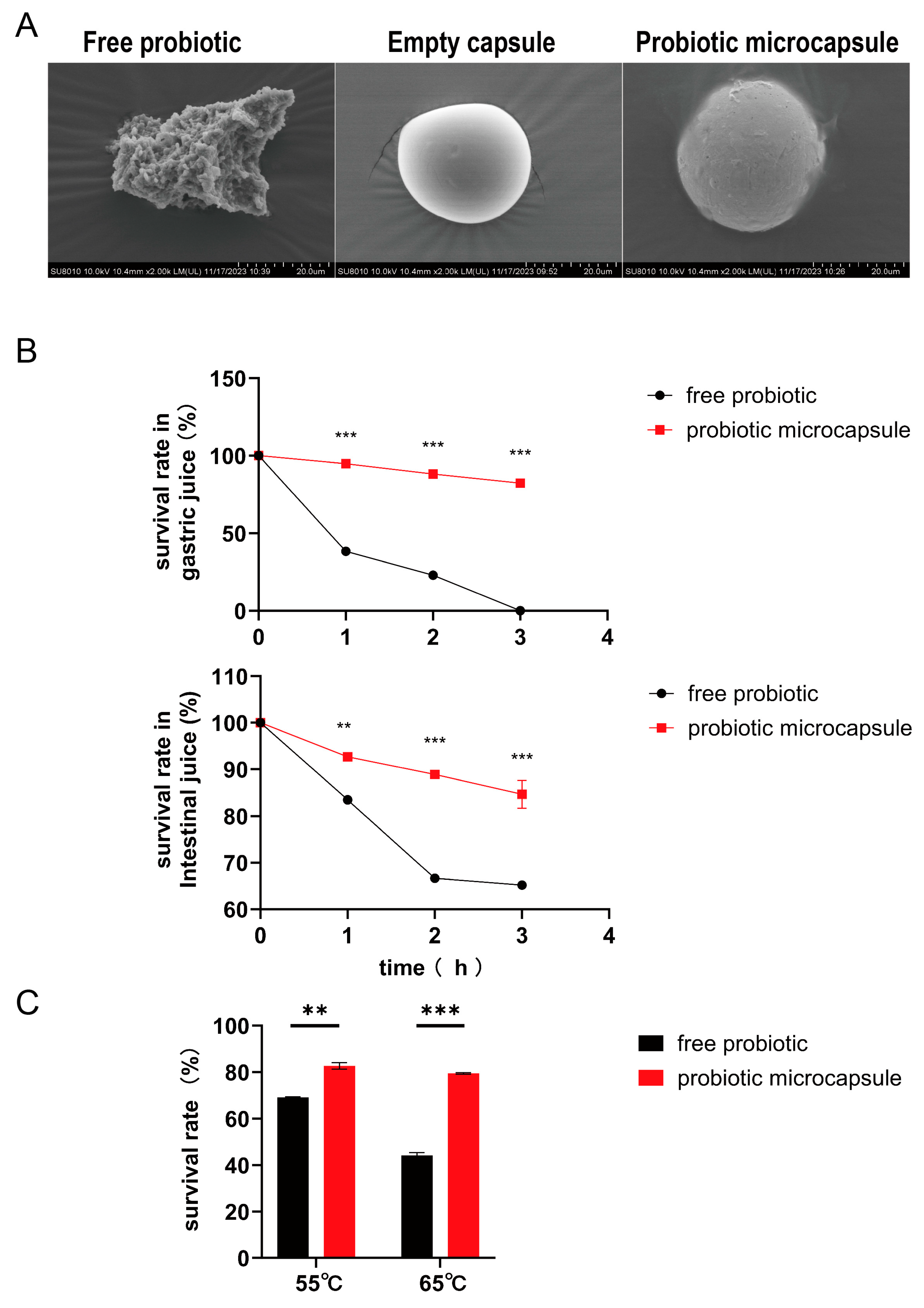 Nutrients 16 01055 g001