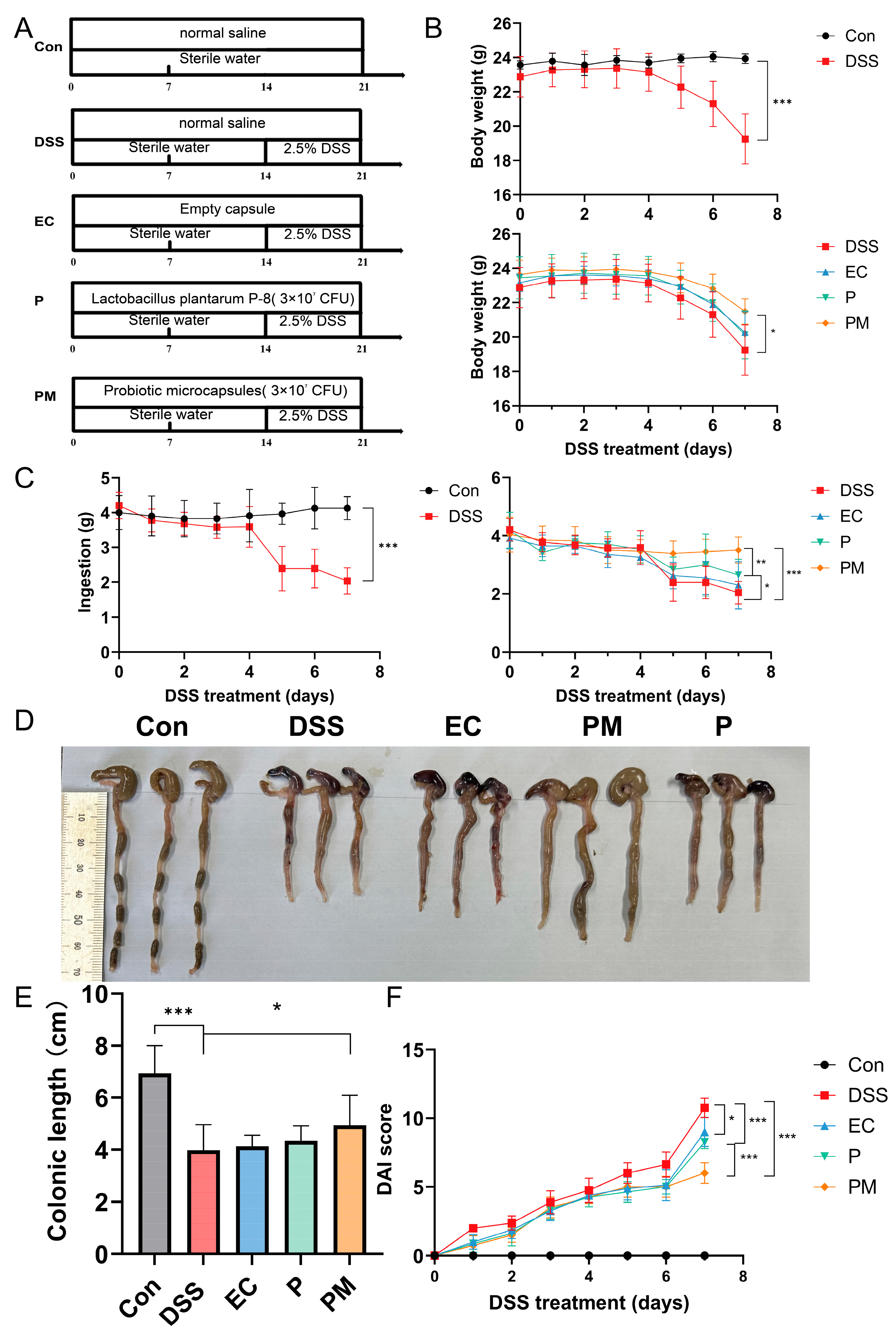 Nutrients 16 01055 g002