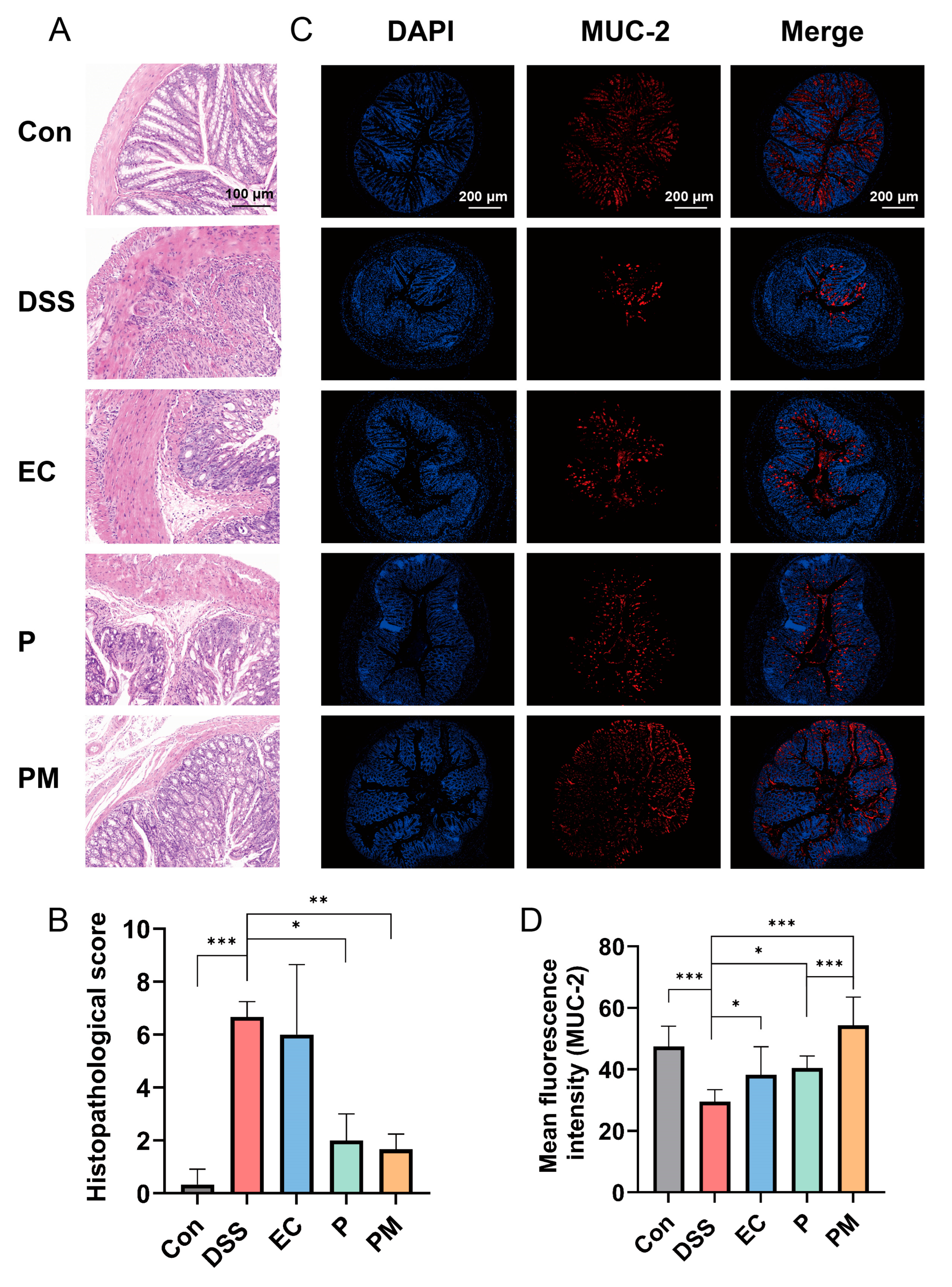 Nutrients 16 01055 g003