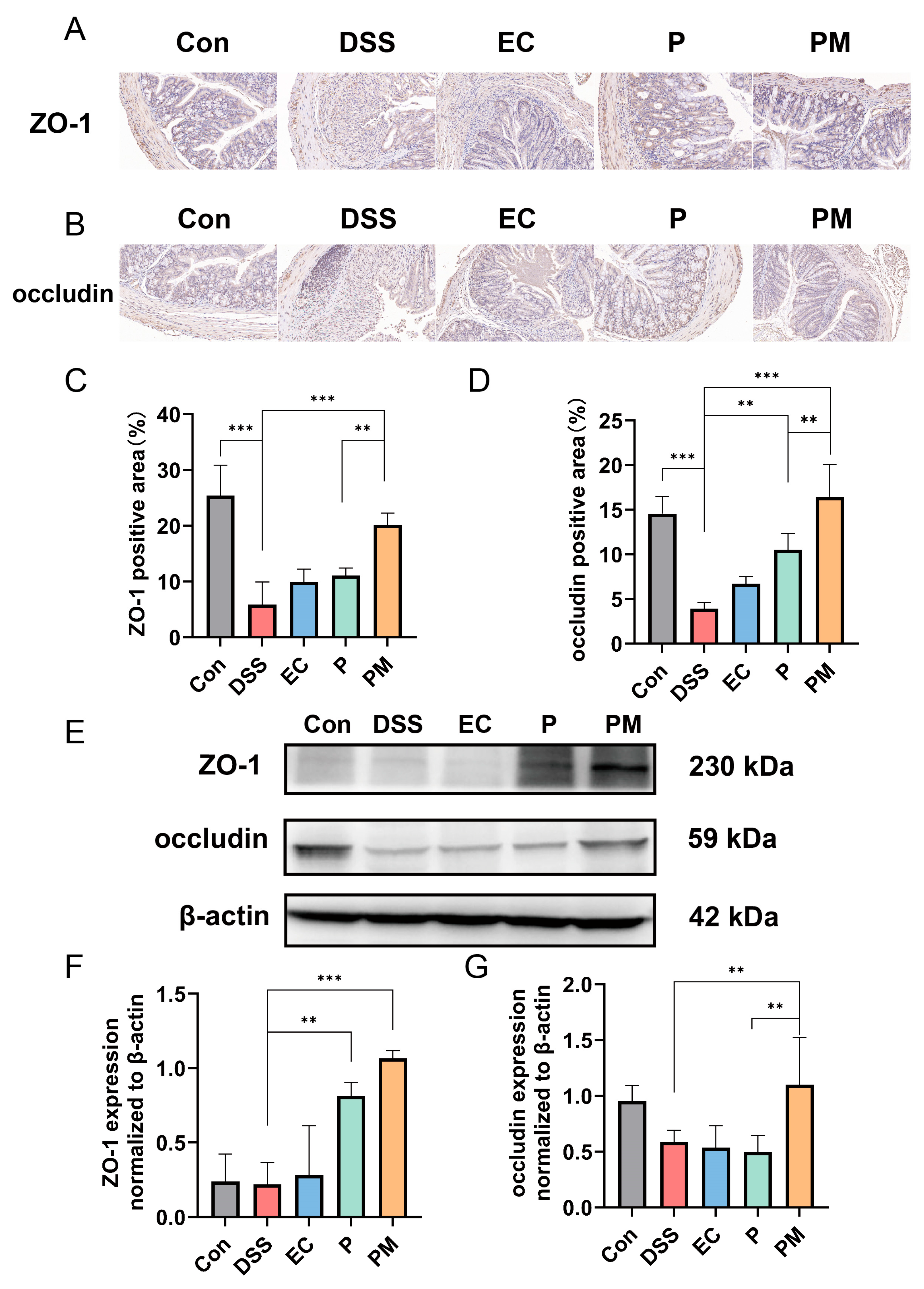 Nutrients 16 01055 g004