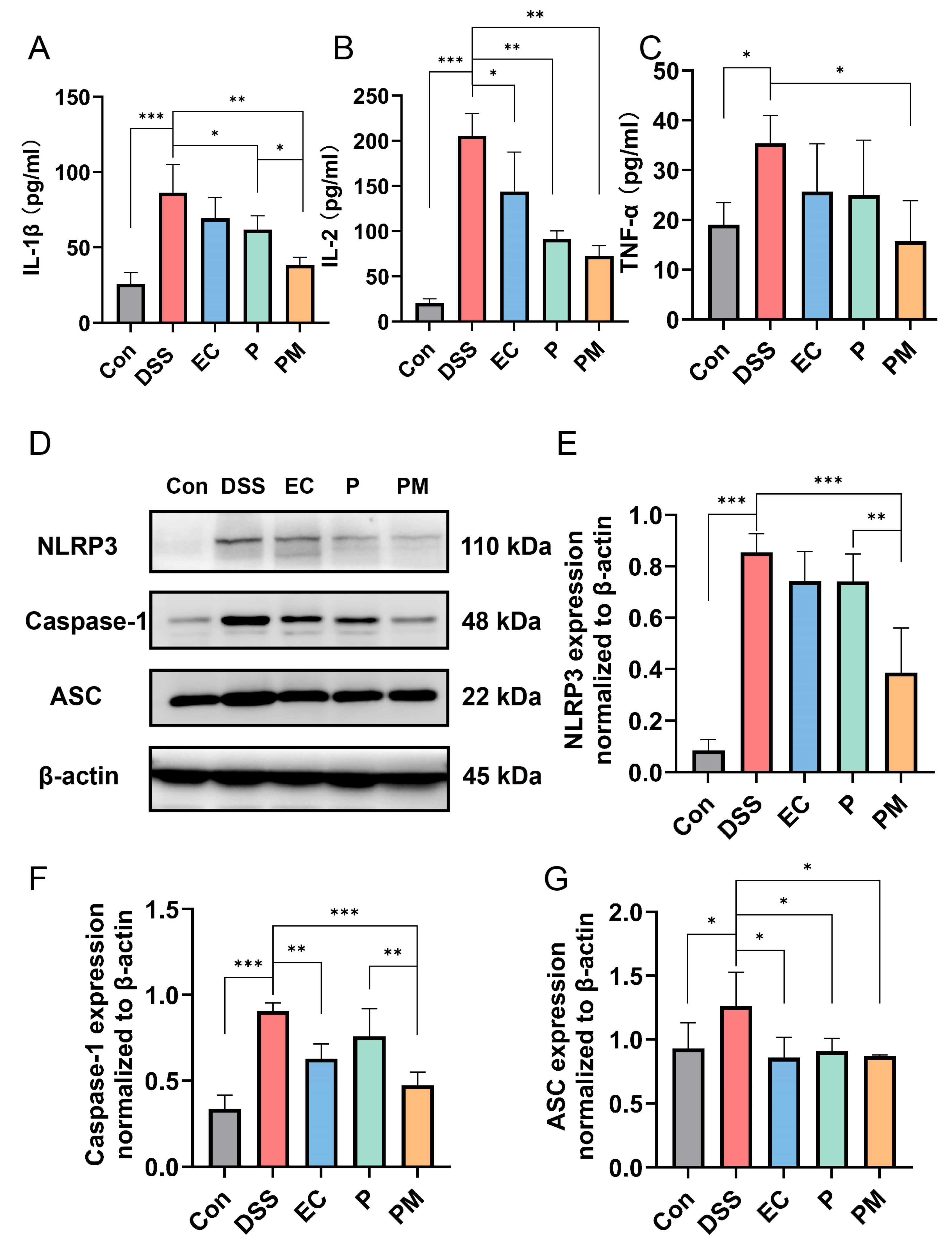 Nutrients 16 01055 g005