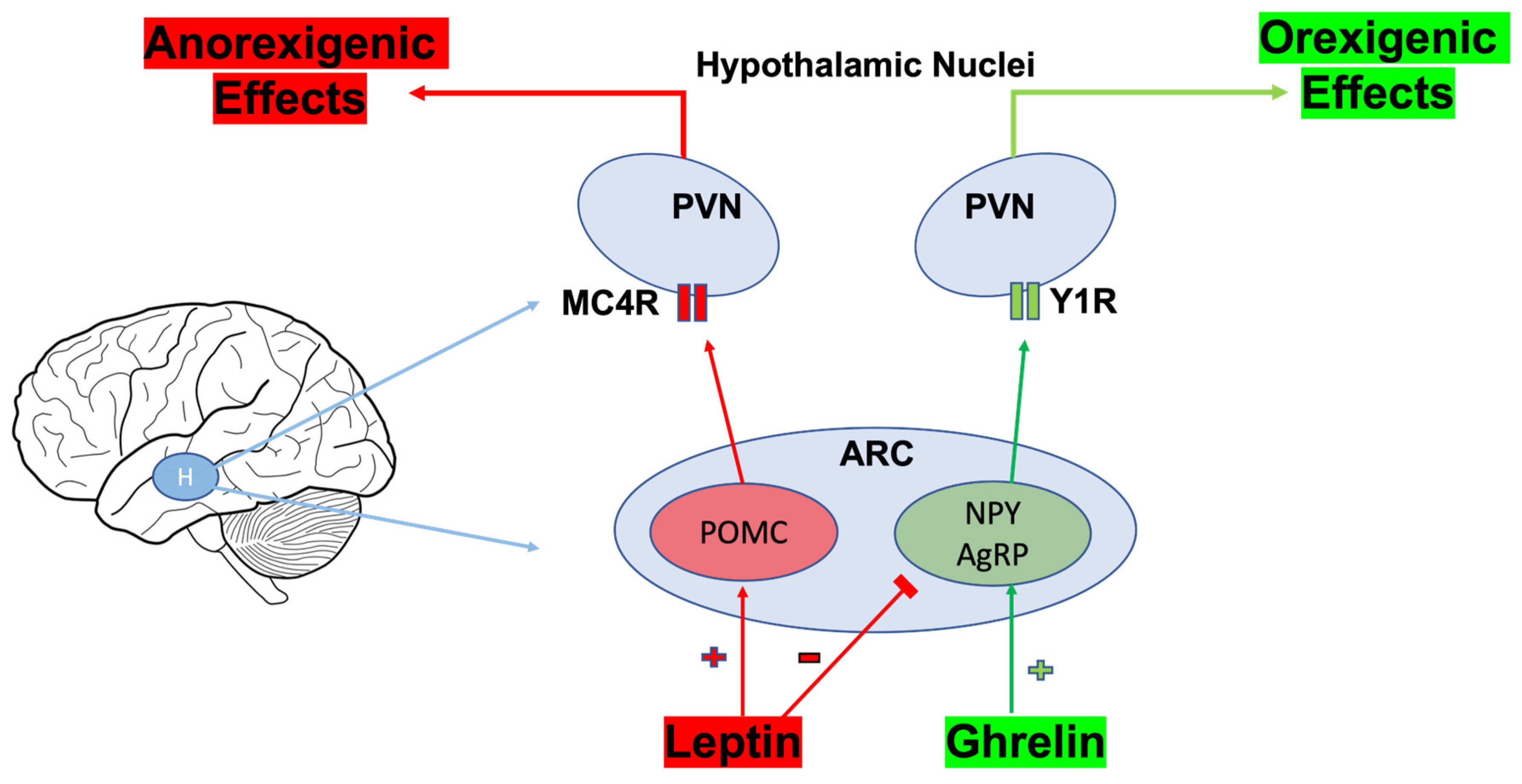 Nutrients 16 01071 g005