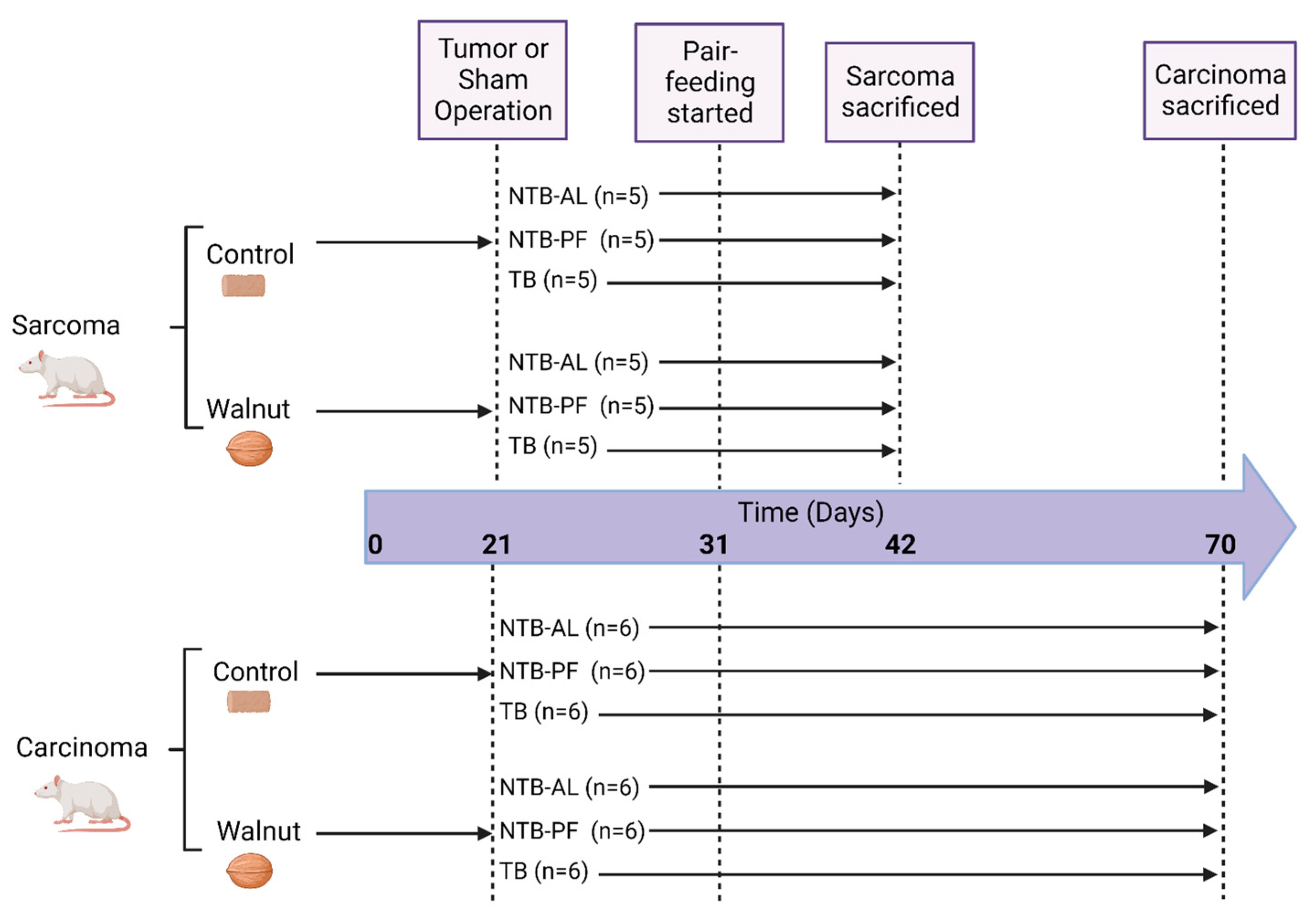 Nutrients 16 01076 g001