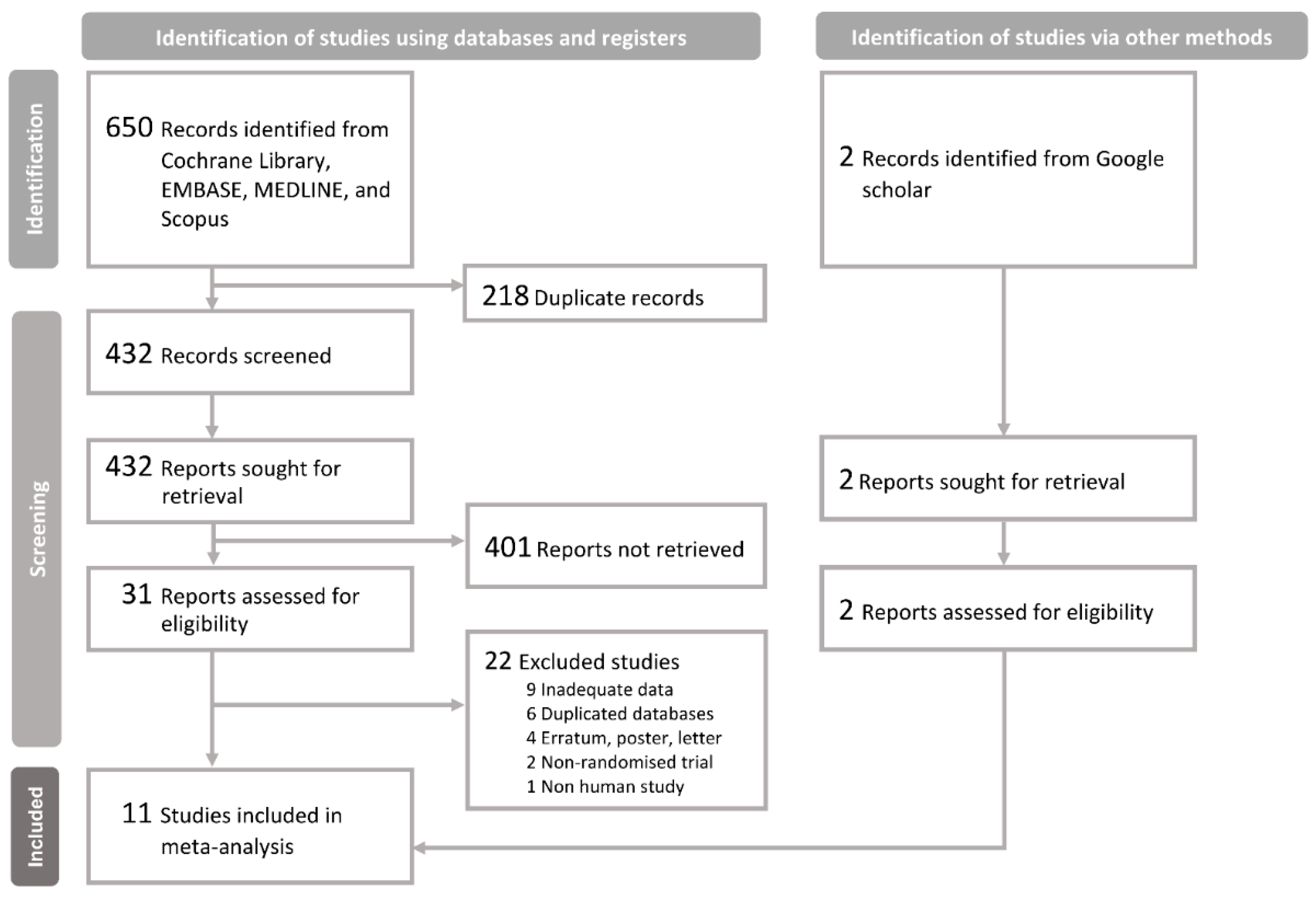 Nutrients 16 01089 g001