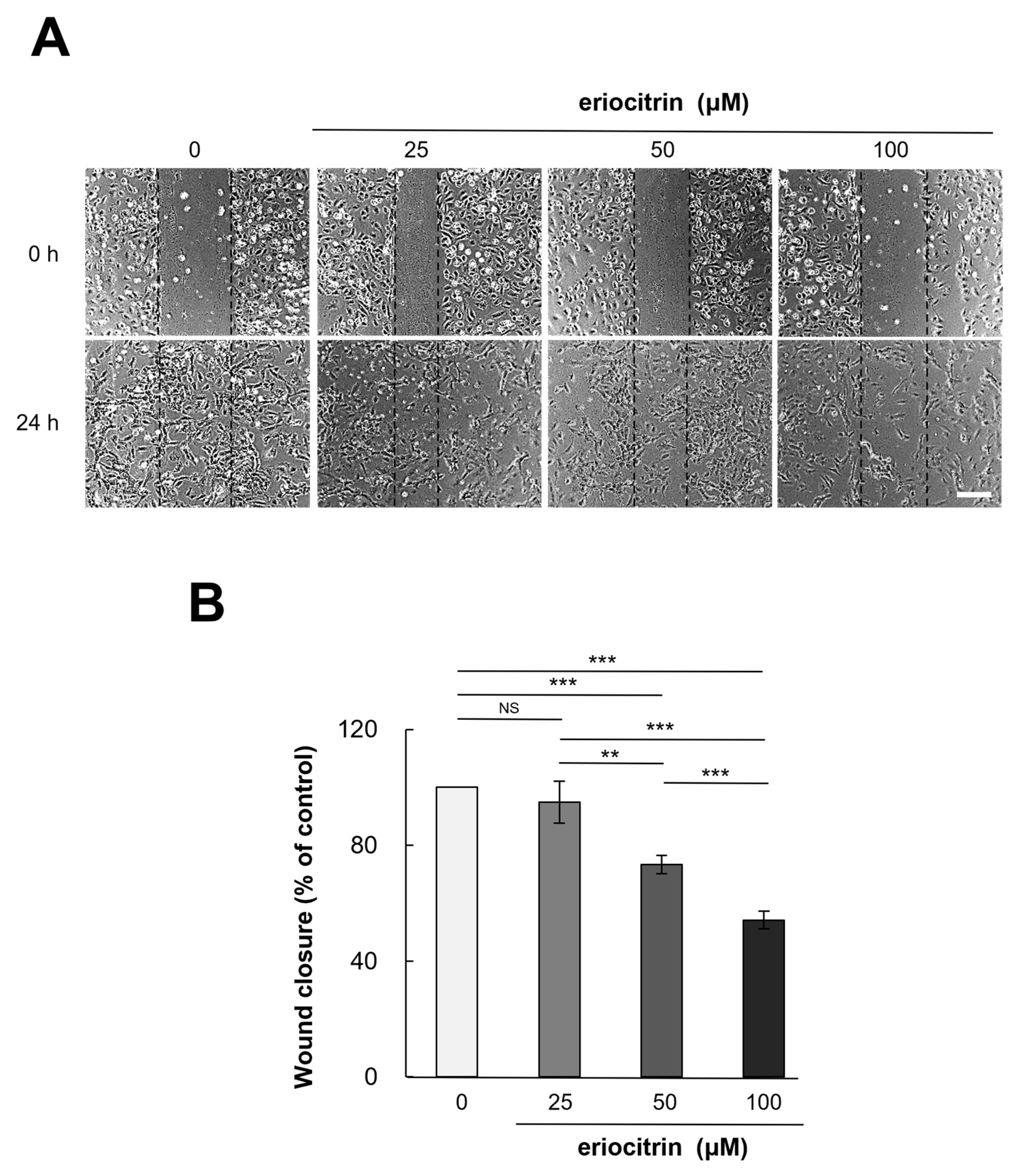 Nutrients 16 01091 g003