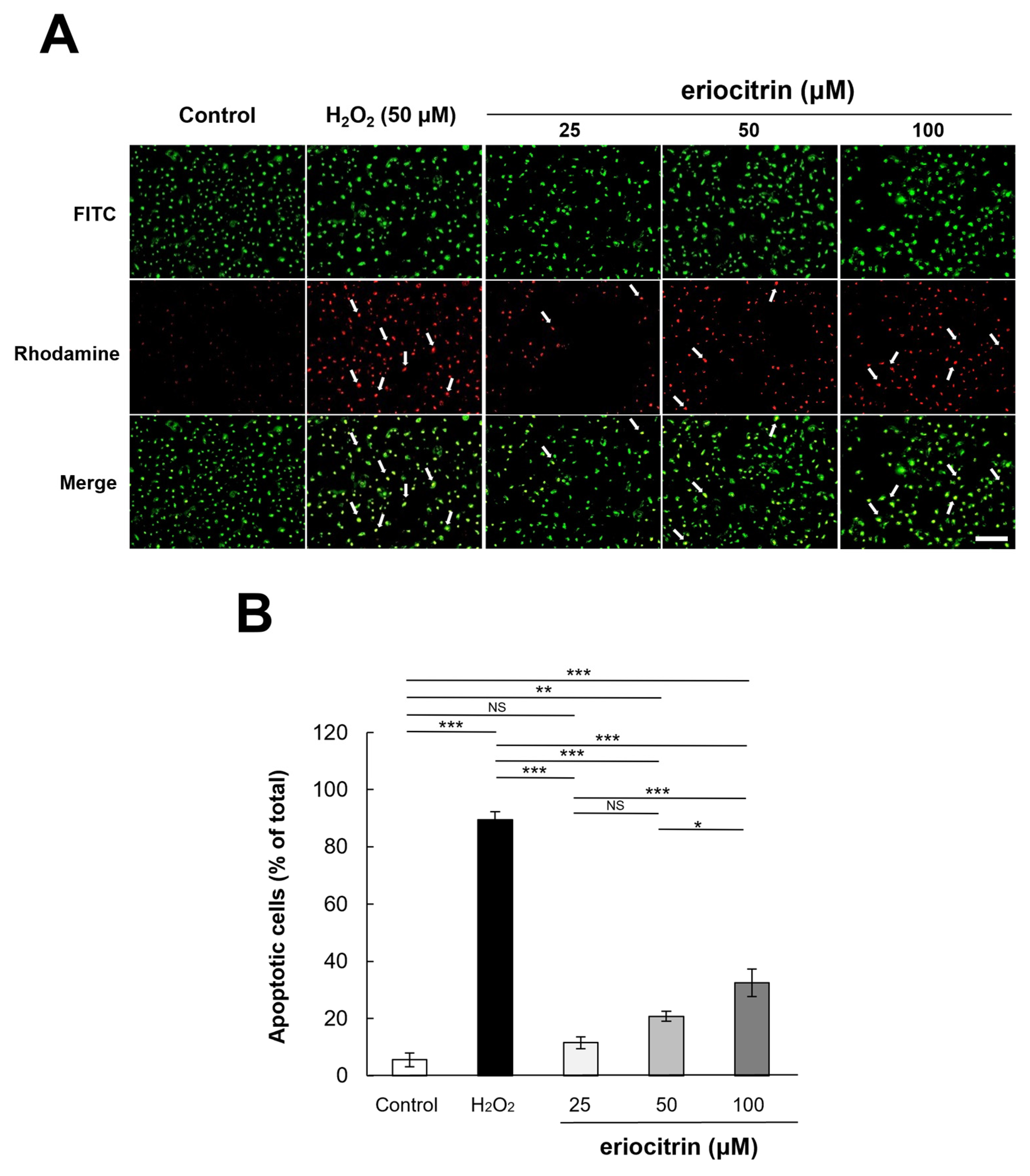 Nutrients 16 01091 g005