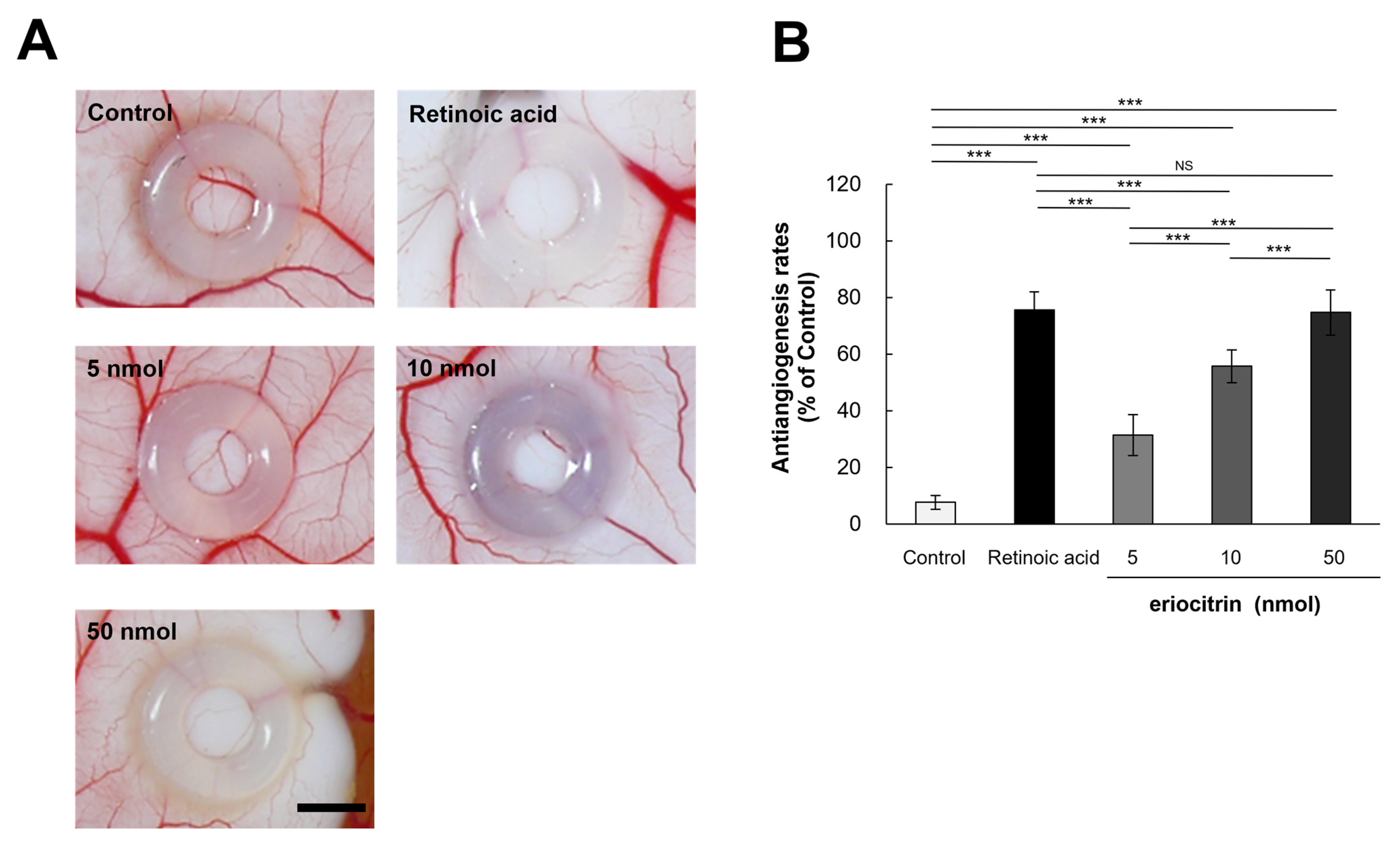 Nutrients 16 01091 g007