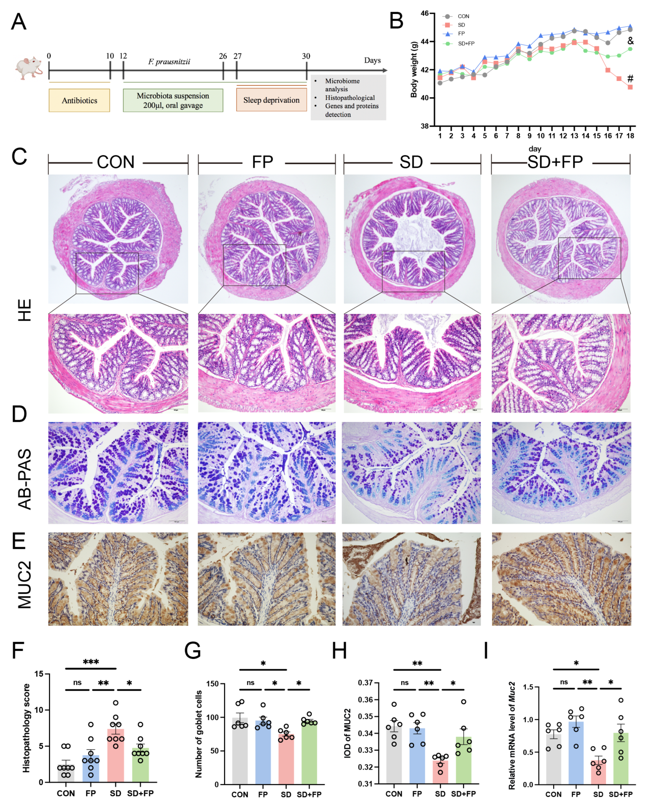 Nutrients 16 01100 g001