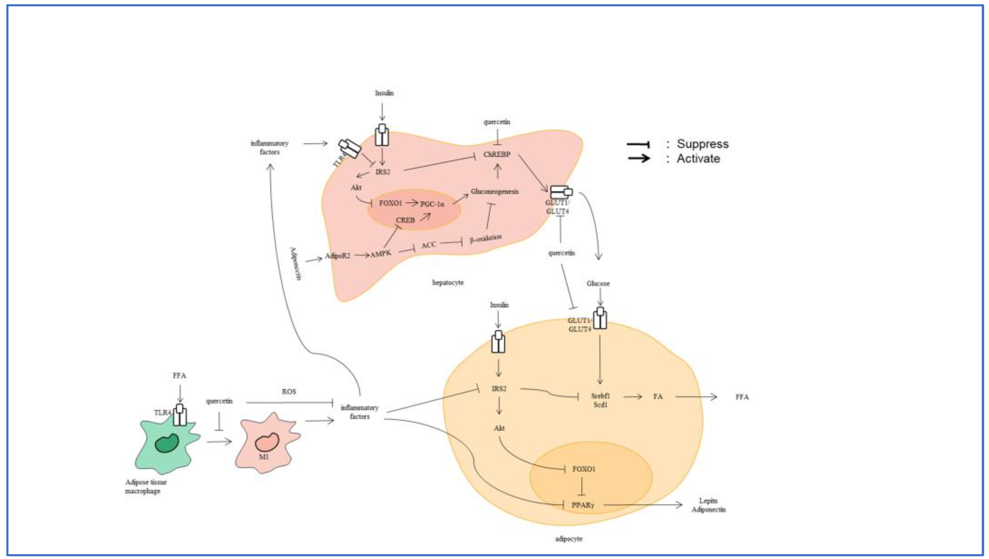 Nutrients 16 01102 g003