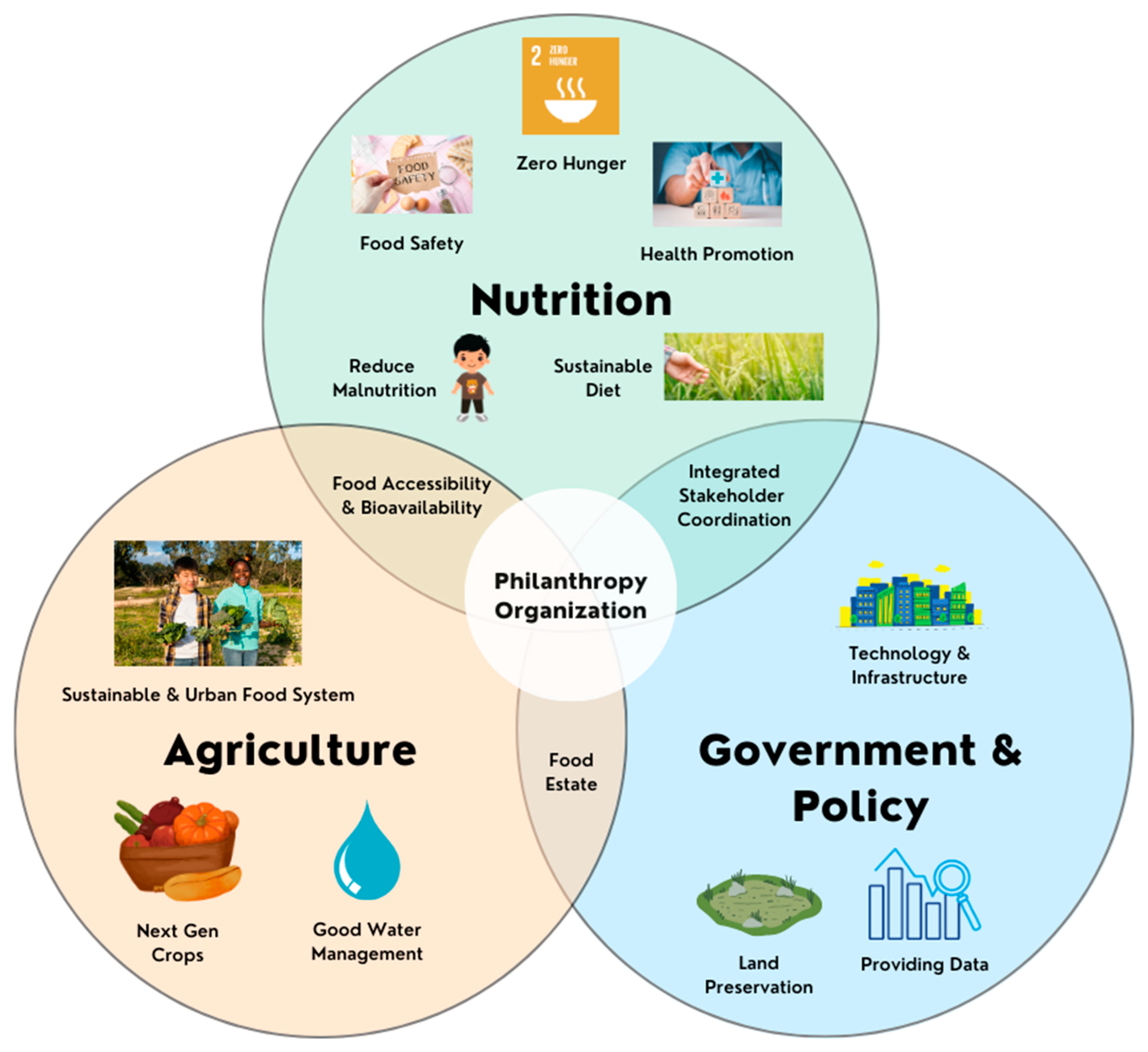 Nutrients 16 01119 g002