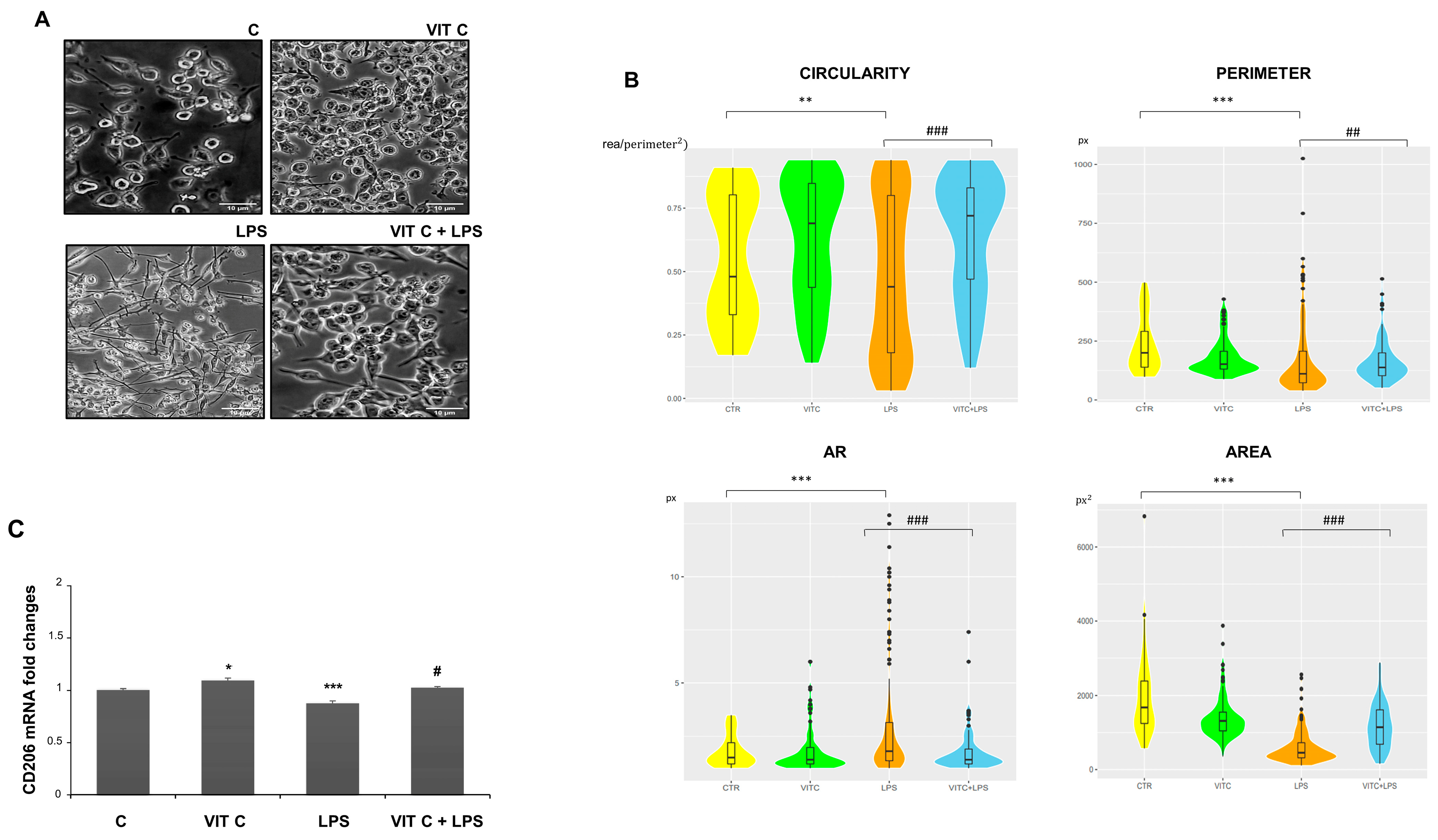 Nutrients 16 01121 g007