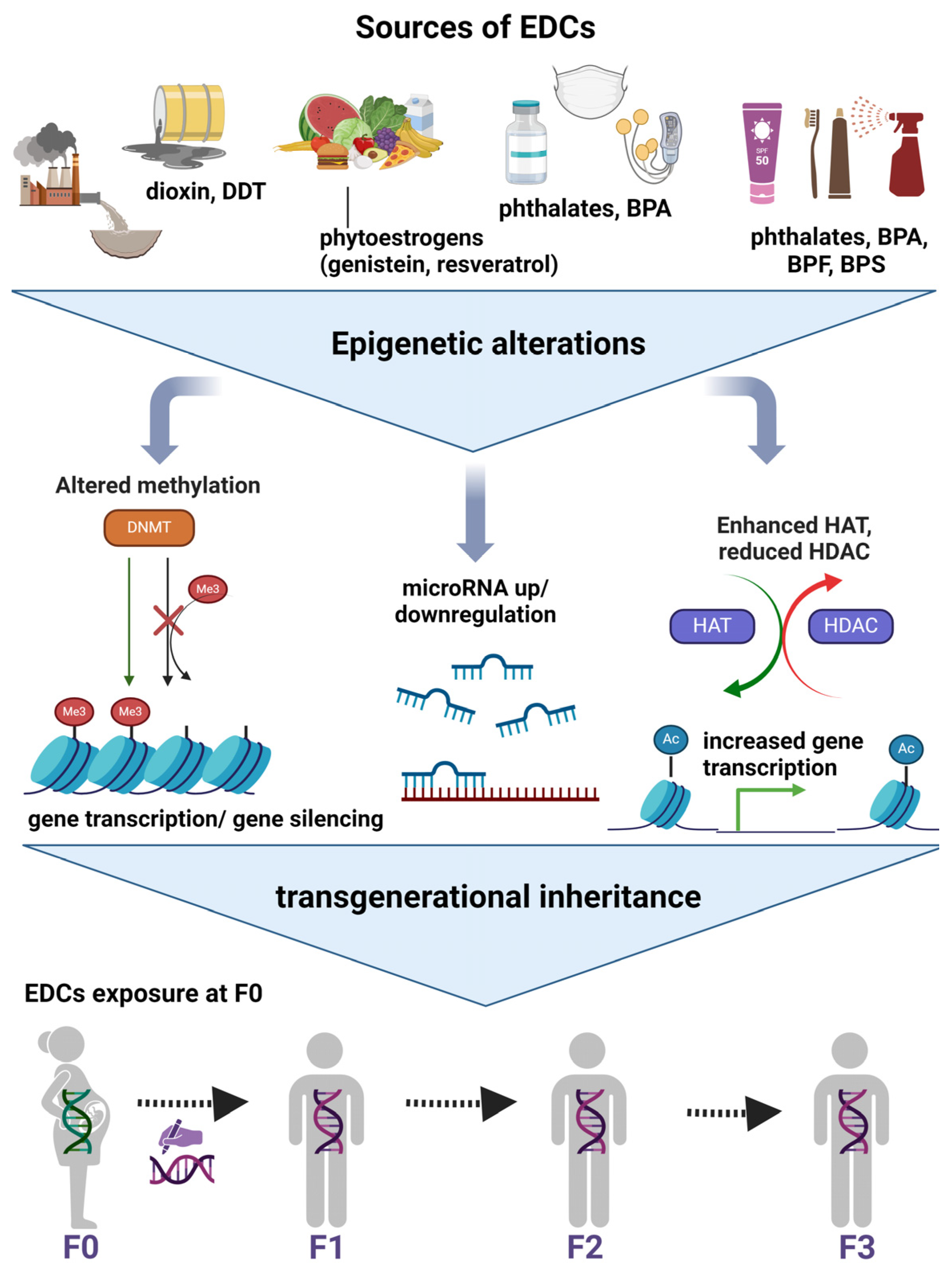 Nutrients 16 01124 g002